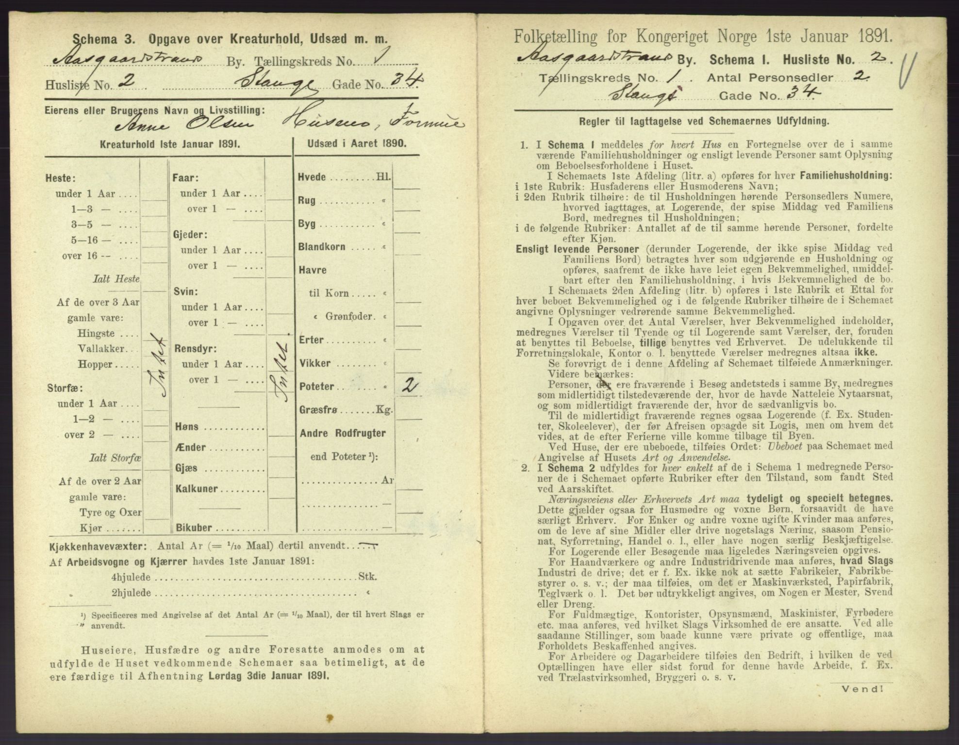 RA, 1891 census for 0704 Åsgårdstrand, 1891, p. 15