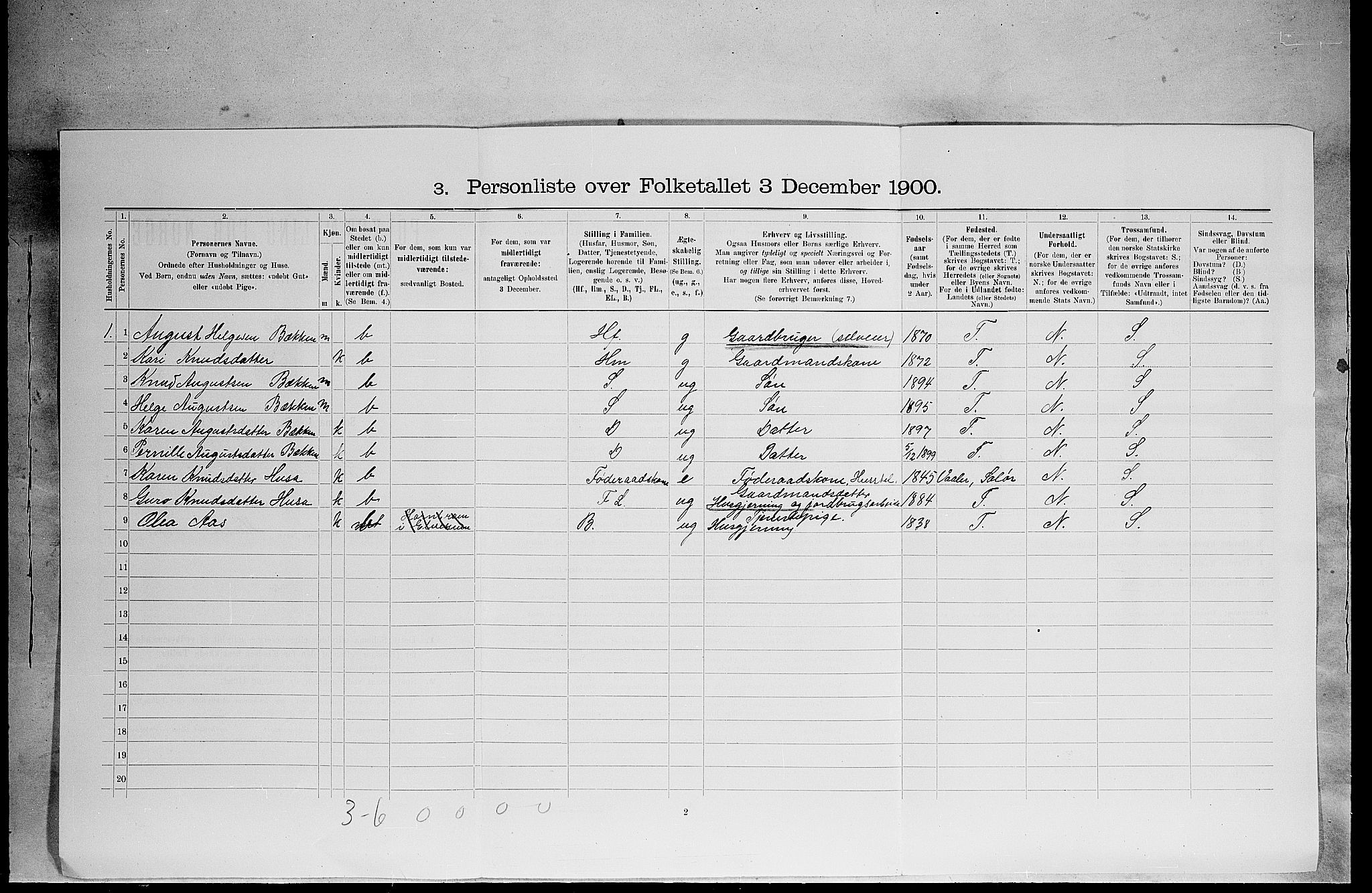 SAH, 1900 census for Elverum, 1900, p. 2955