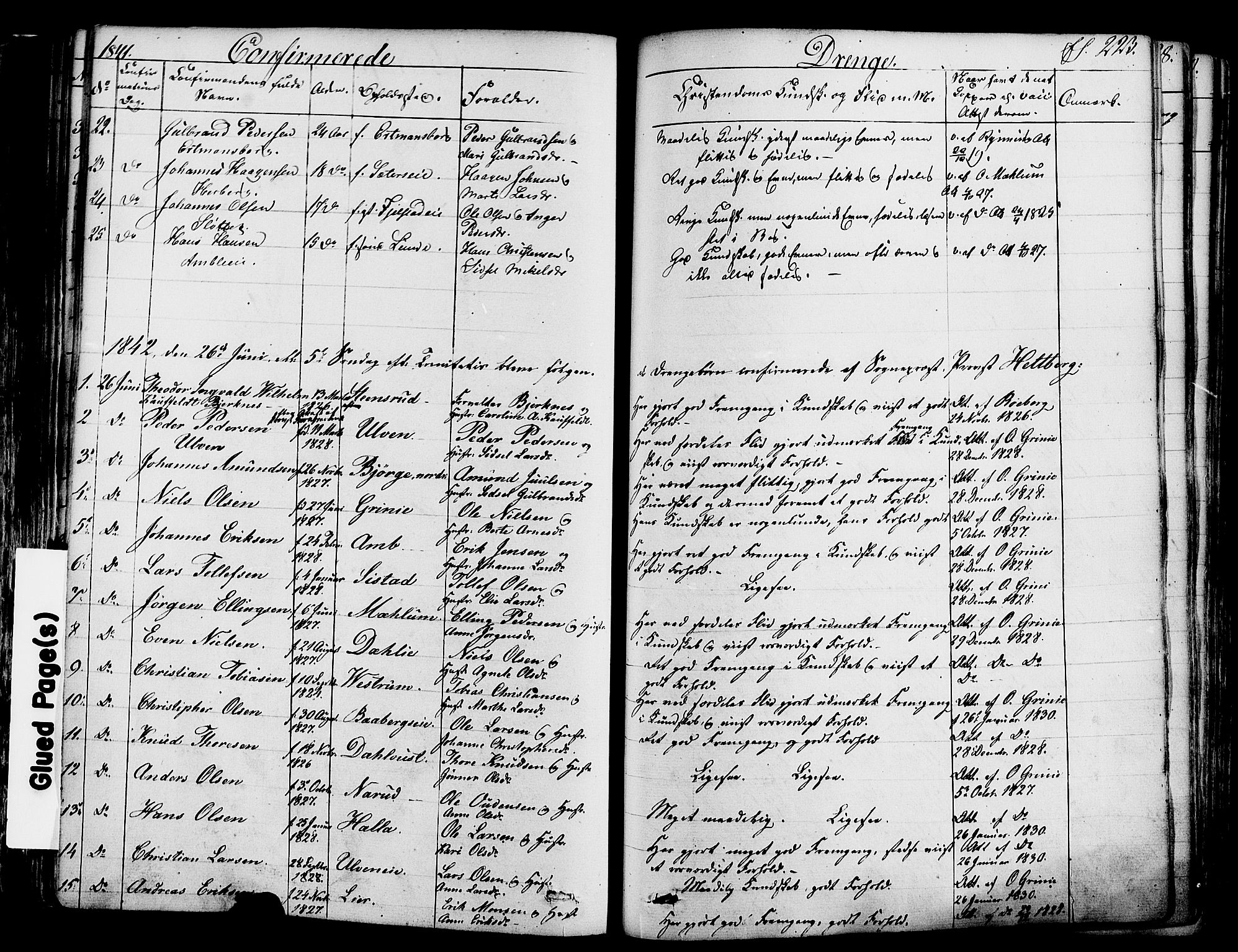 Ringsaker prestekontor, SAH/PREST-014/K/Ka/L0008: Parish register (official) no. 8, 1837-1850, p. 223