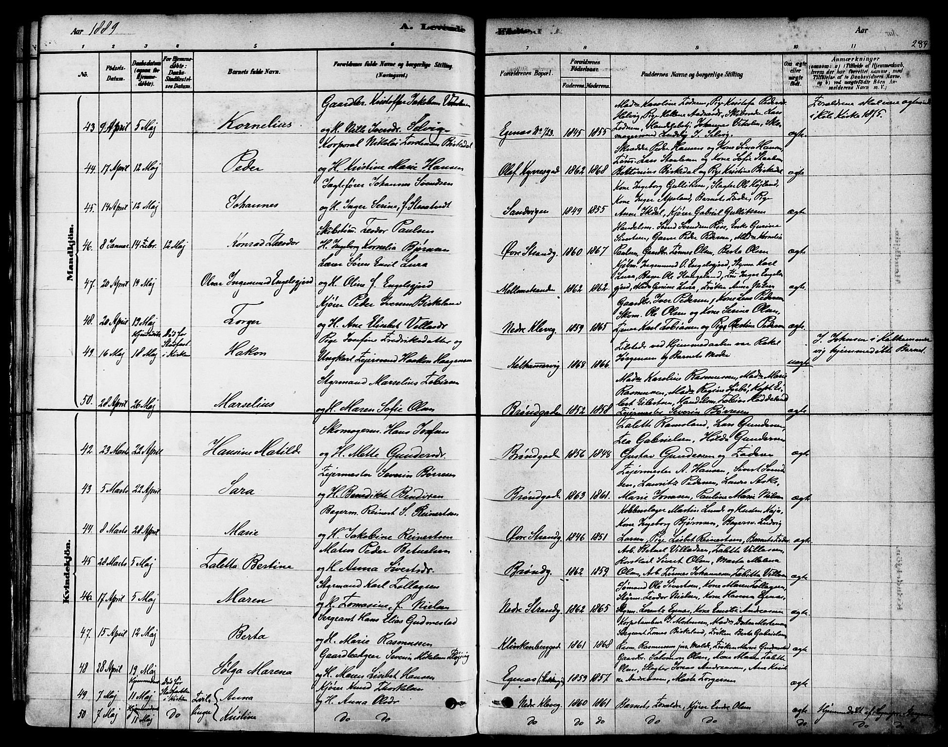 Domkirken sokneprestkontor, SAST/A-101812/001/30/30BA/L0026: Parish register (official) no. A 25, 1878-1889, p. 289