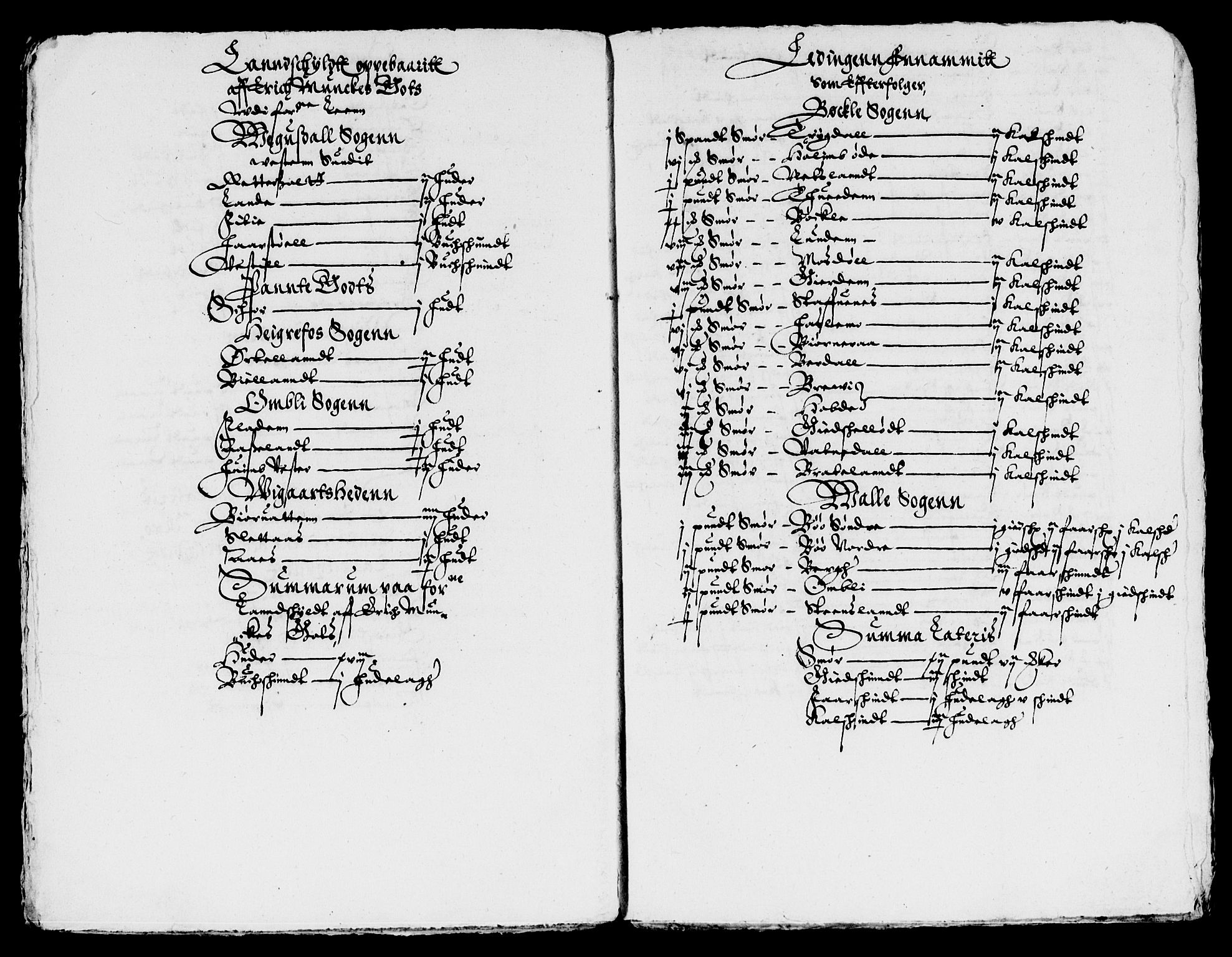 Rentekammeret inntil 1814, Reviderte regnskaper, Lensregnskaper, AV/RA-EA-5023/R/Rb/Rbq/L0012: Nedenes len. Mandals len. Råbyggelag., 1619-1621