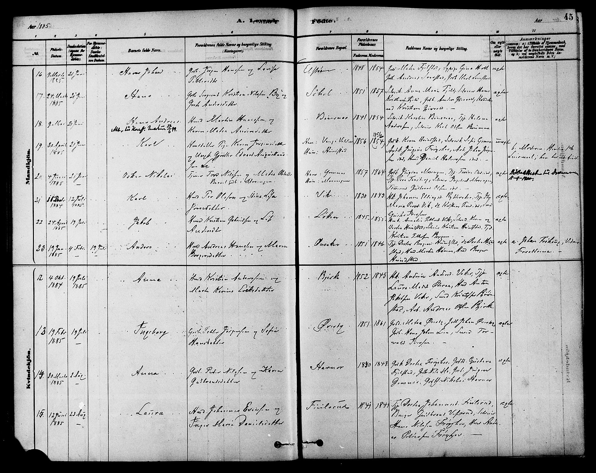 Hole kirkebøker, SAKO/A-228/F/Fa/L0008: Parish register (official) no. I 8, 1878-1891, p. 45