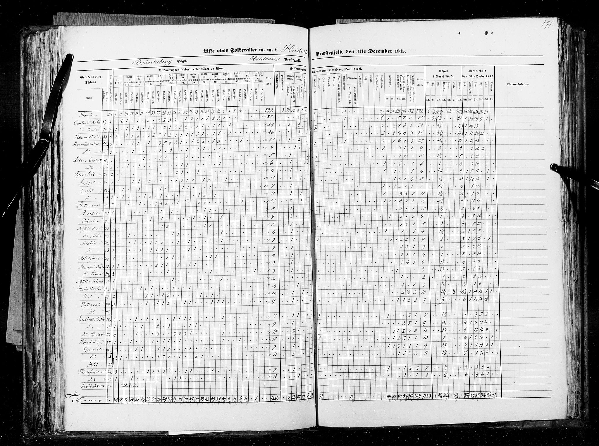 RA, Census 1845, vol. 5: Bratsberg amt og Nedenes og Råbyggelaget amt, 1845, p. 171