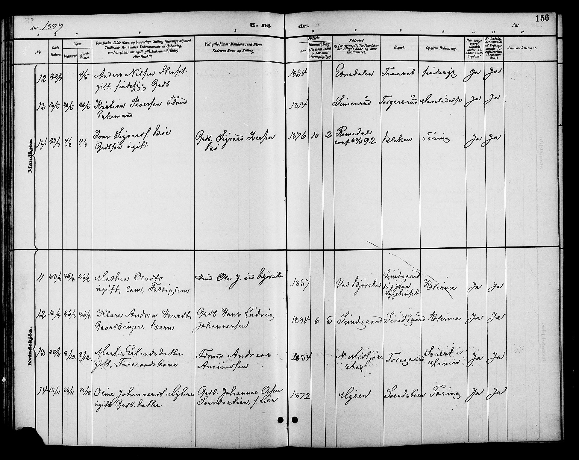 Fåberg prestekontor, SAH/PREST-086/H/Ha/Hab/L0010: Parish register (copy) no. 10, 1892-1900, p. 156