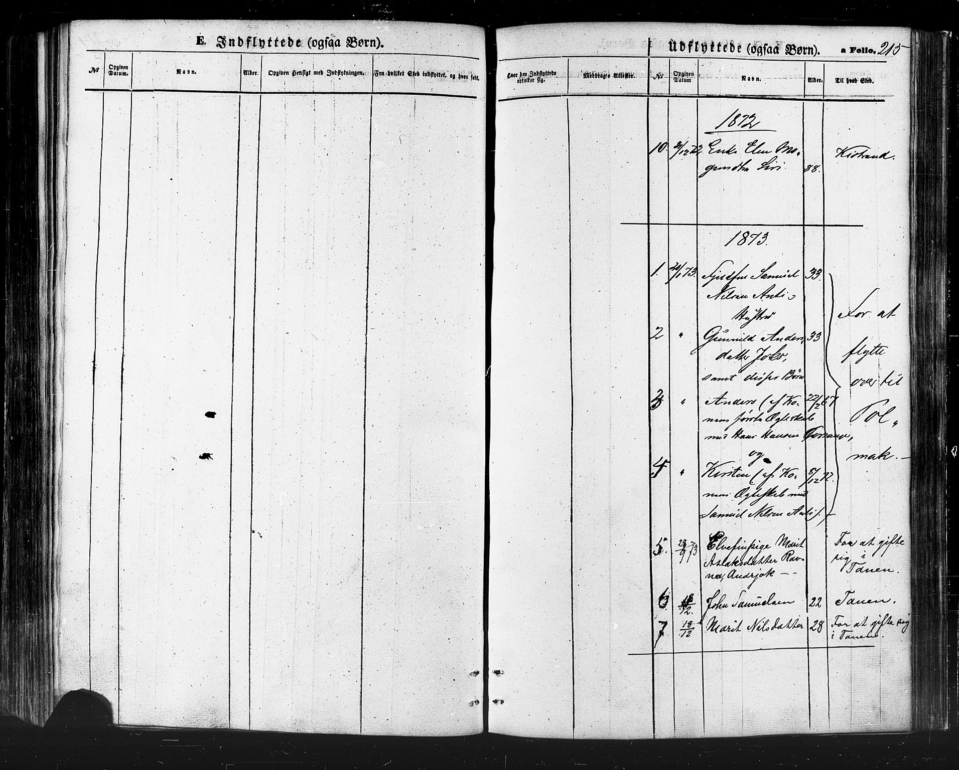 Karasjok sokneprestkontor, SATØ/S-1352/H/Ha/L0001kirke: Parish register (official) no. 1, 1872-1884, p. 215