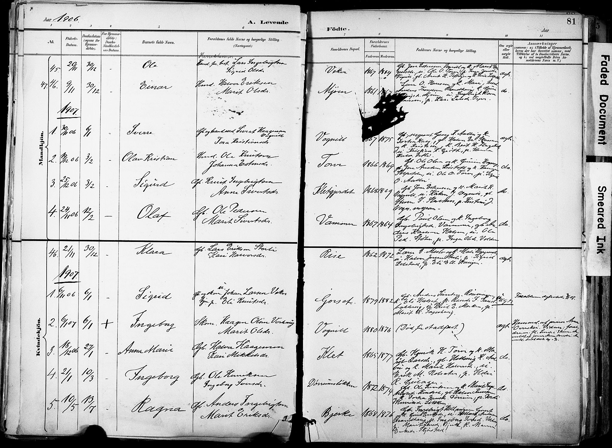 Ministerialprotokoller, klokkerbøker og fødselsregistre - Sør-Trøndelag, AV/SAT-A-1456/678/L0902: Parish register (official) no. 678A11, 1895-1911, p. 81