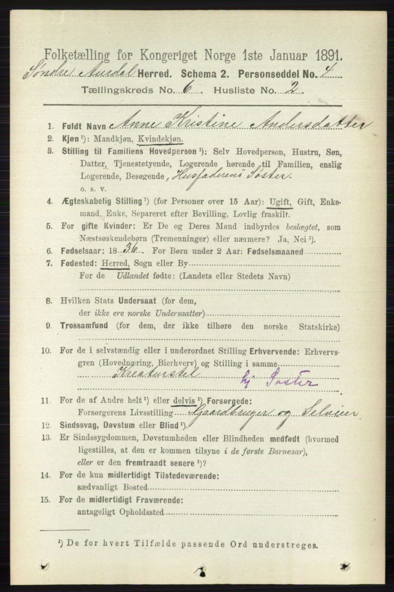 RA, 1891 census for 0540 Sør-Aurdal, 1891, p. 3816