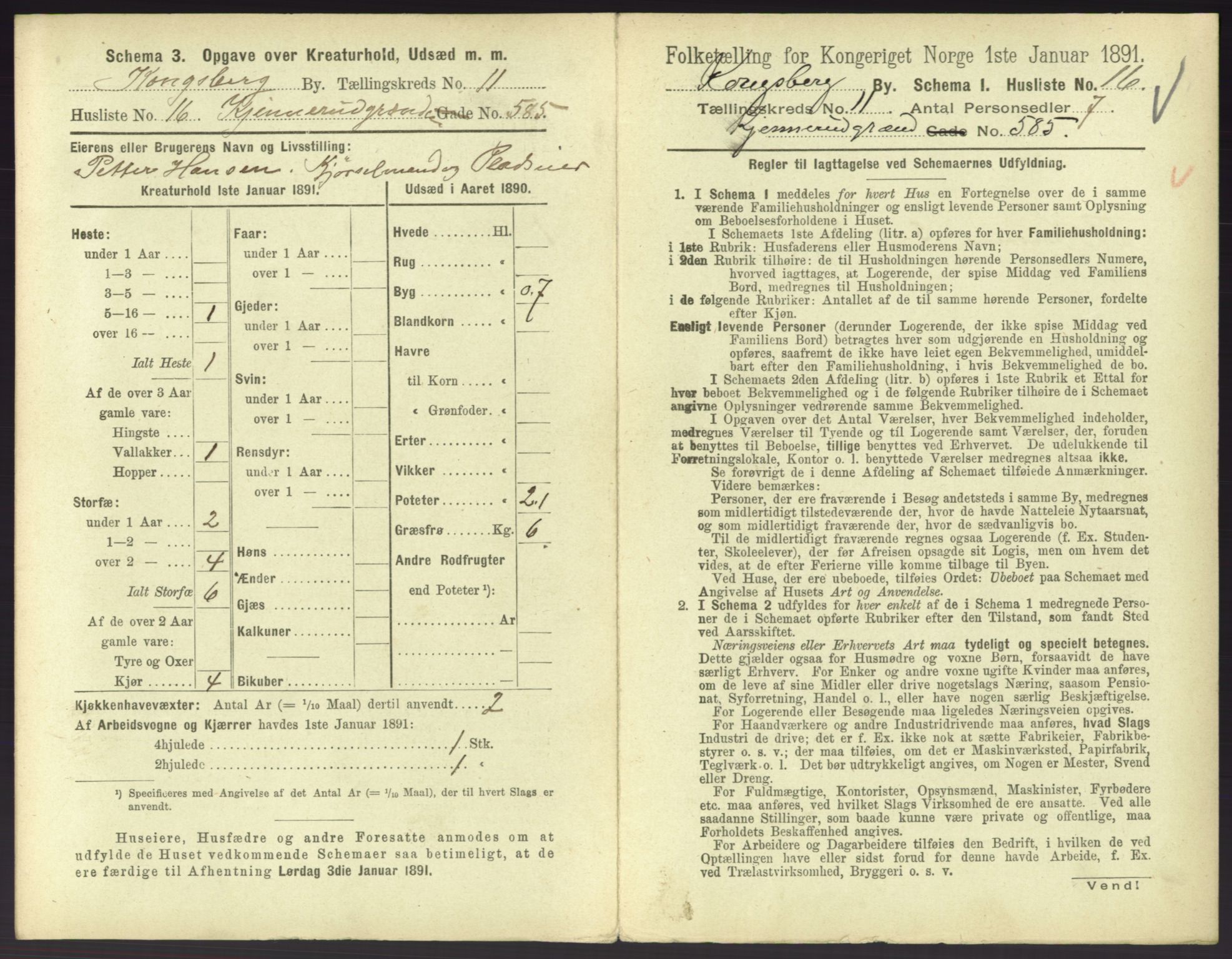 RA, 1891 census for 0604 Kongsberg, 1891, p. 1483