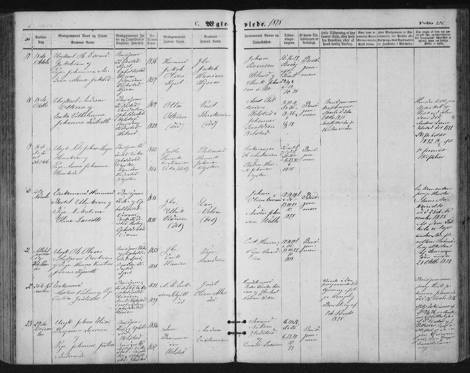 Ministerialprotokoller, klokkerbøker og fødselsregistre - Nordland, SAT/A-1459/816/L0241: Parish register (official) no. 816A07, 1870-1885, p. 205