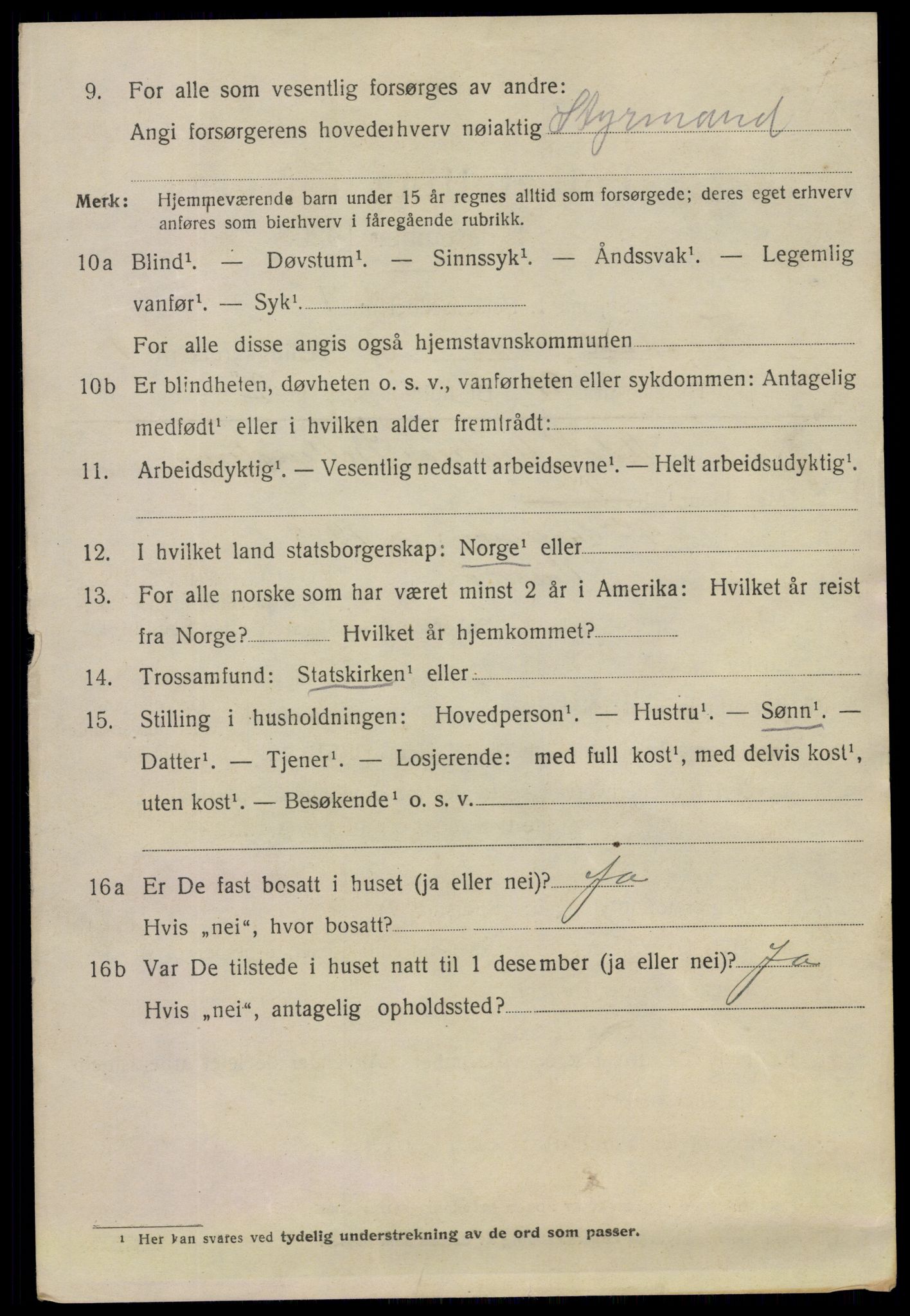 SAO, 1920 census for Fredrikstad, 1920, p. 13556