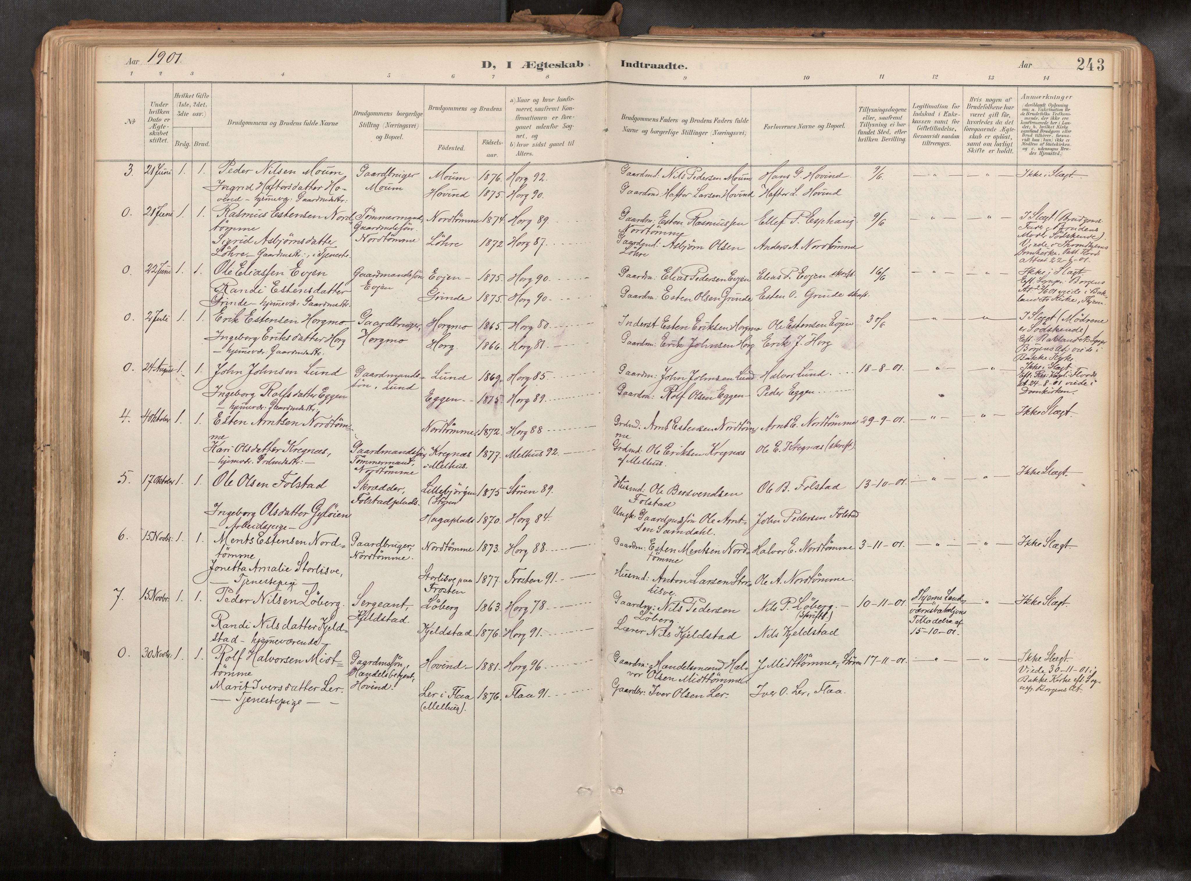 Ministerialprotokoller, klokkerbøker og fødselsregistre - Sør-Trøndelag, SAT/A-1456/692/L1105b: Parish register (official) no. 692A06, 1891-1934, p. 243