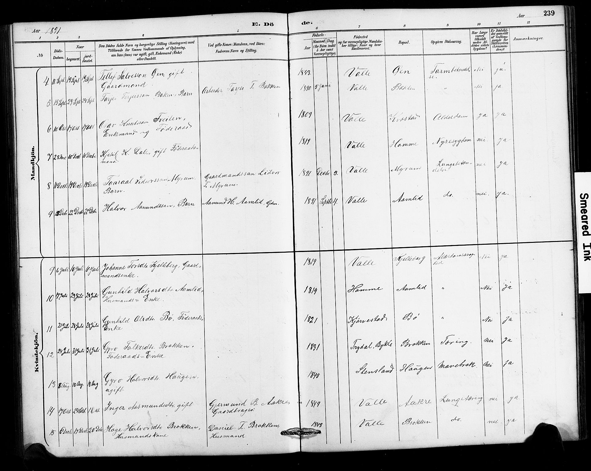 Valle sokneprestkontor, SAK/1111-0044/F/Fb/Fbc/L0004: Parish register (copy) no. B 4, 1890-1928, p. 239