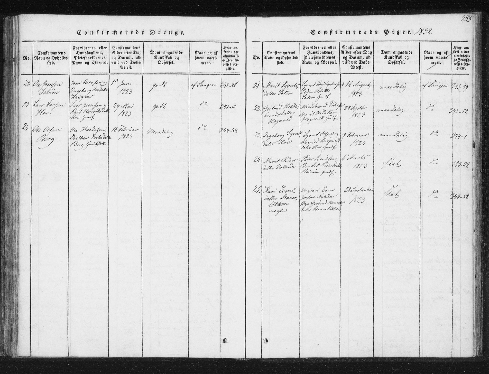 Ministerialprotokoller, klokkerbøker og fødselsregistre - Sør-Trøndelag, SAT/A-1456/689/L1037: Parish register (official) no. 689A02, 1816-1842, p. 253