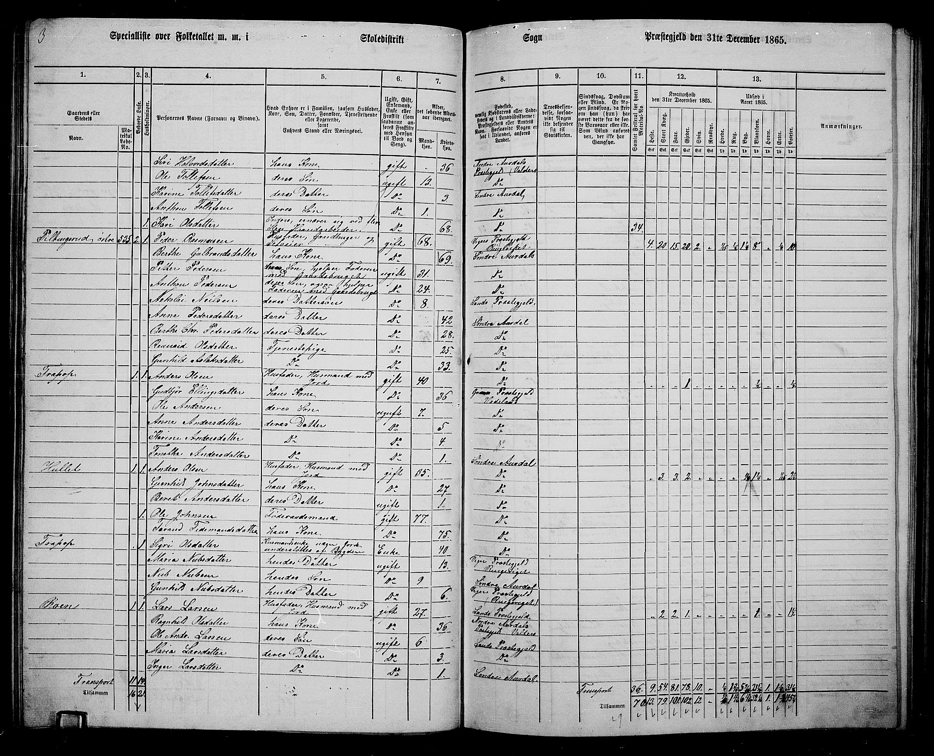 RA, 1865 census for Sør-Aurdal, 1865, p. 124