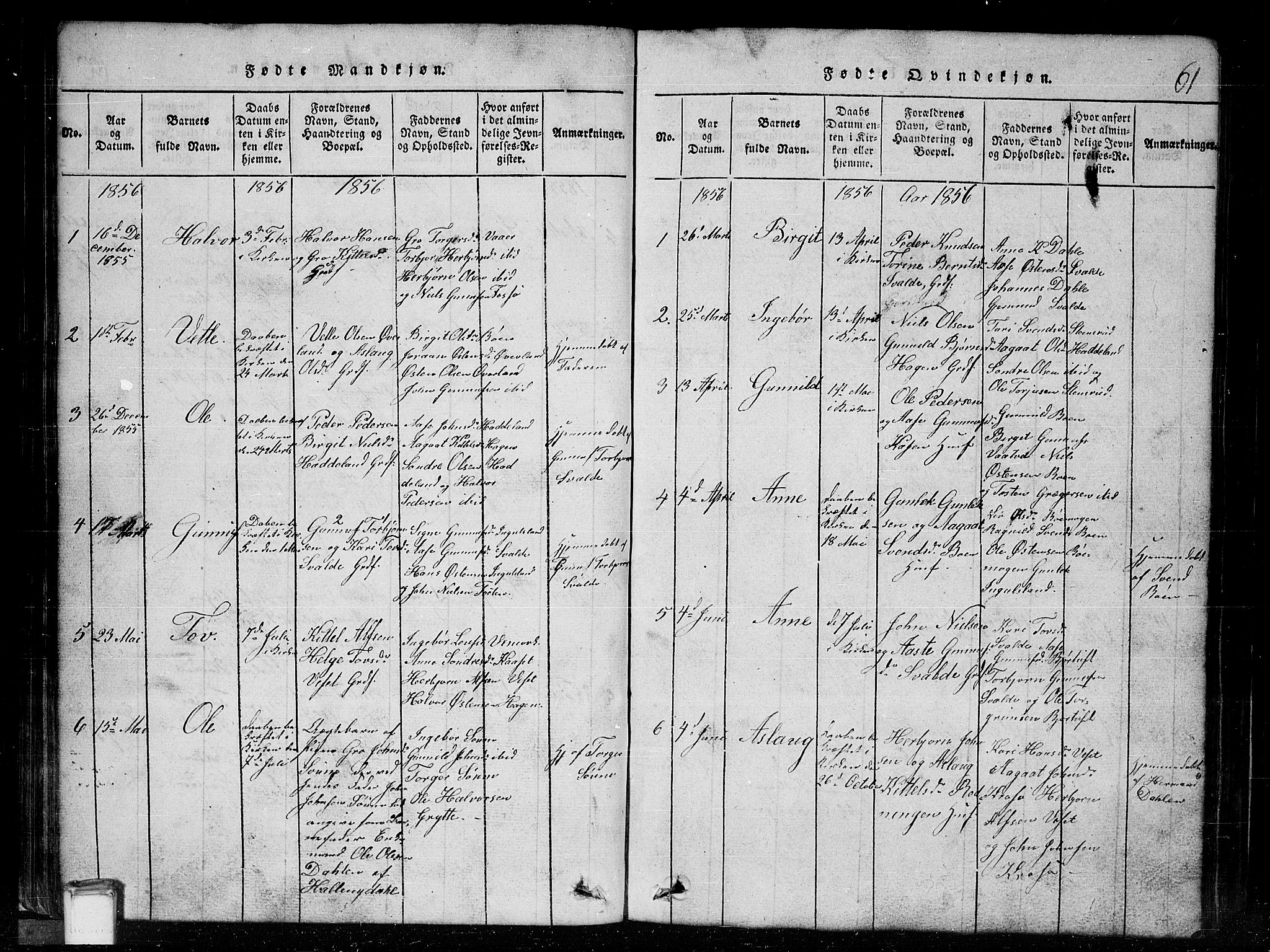 Tinn kirkebøker, SAKO/A-308/G/Gc/L0001: Parish register (copy) no. III 1, 1815-1879, p. 61