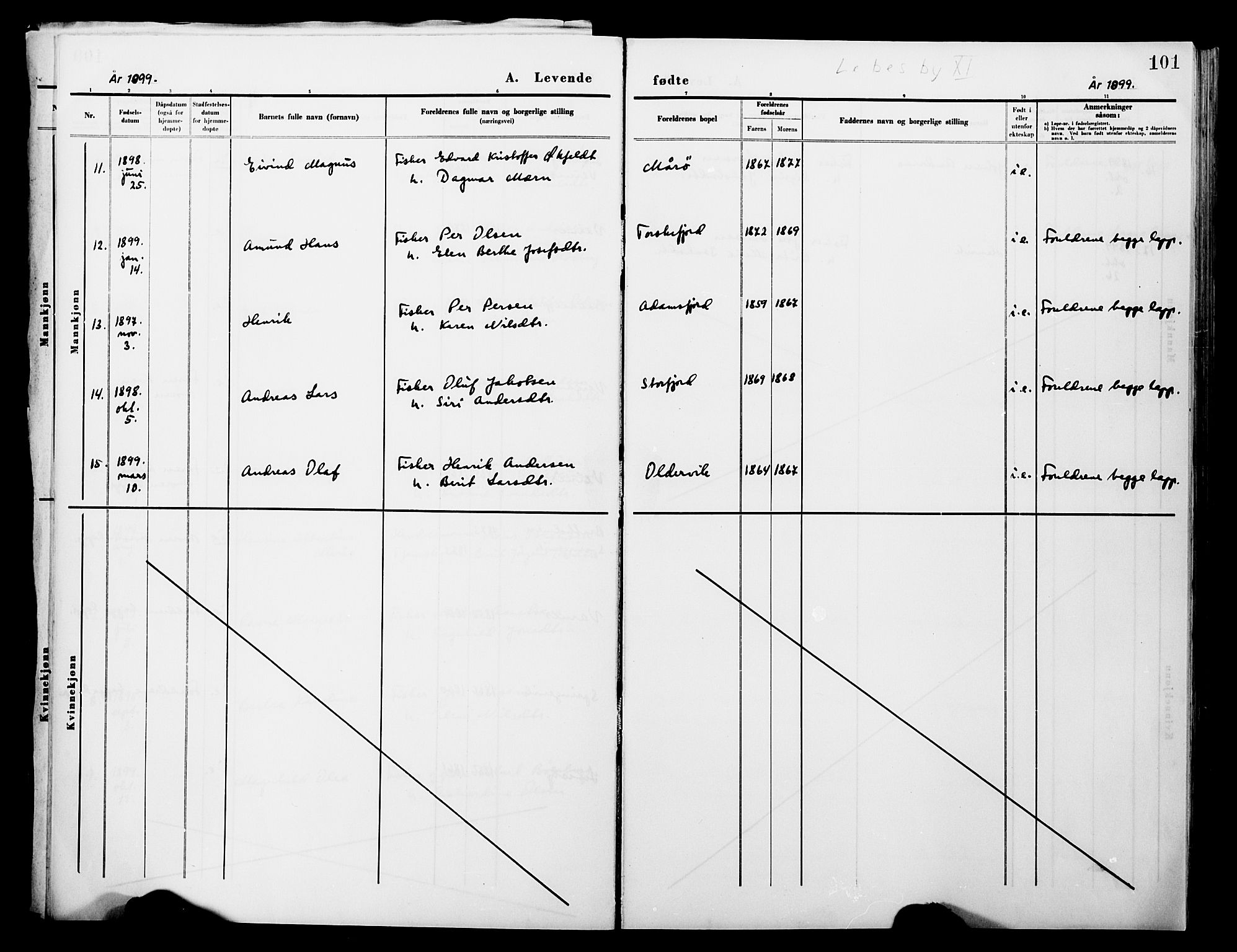 Lebesby sokneprestkontor, AV/SATØ-S-1353/H/Ha/L0004kirke: Parish register (official) no. 4, 1870-1902, p. 101