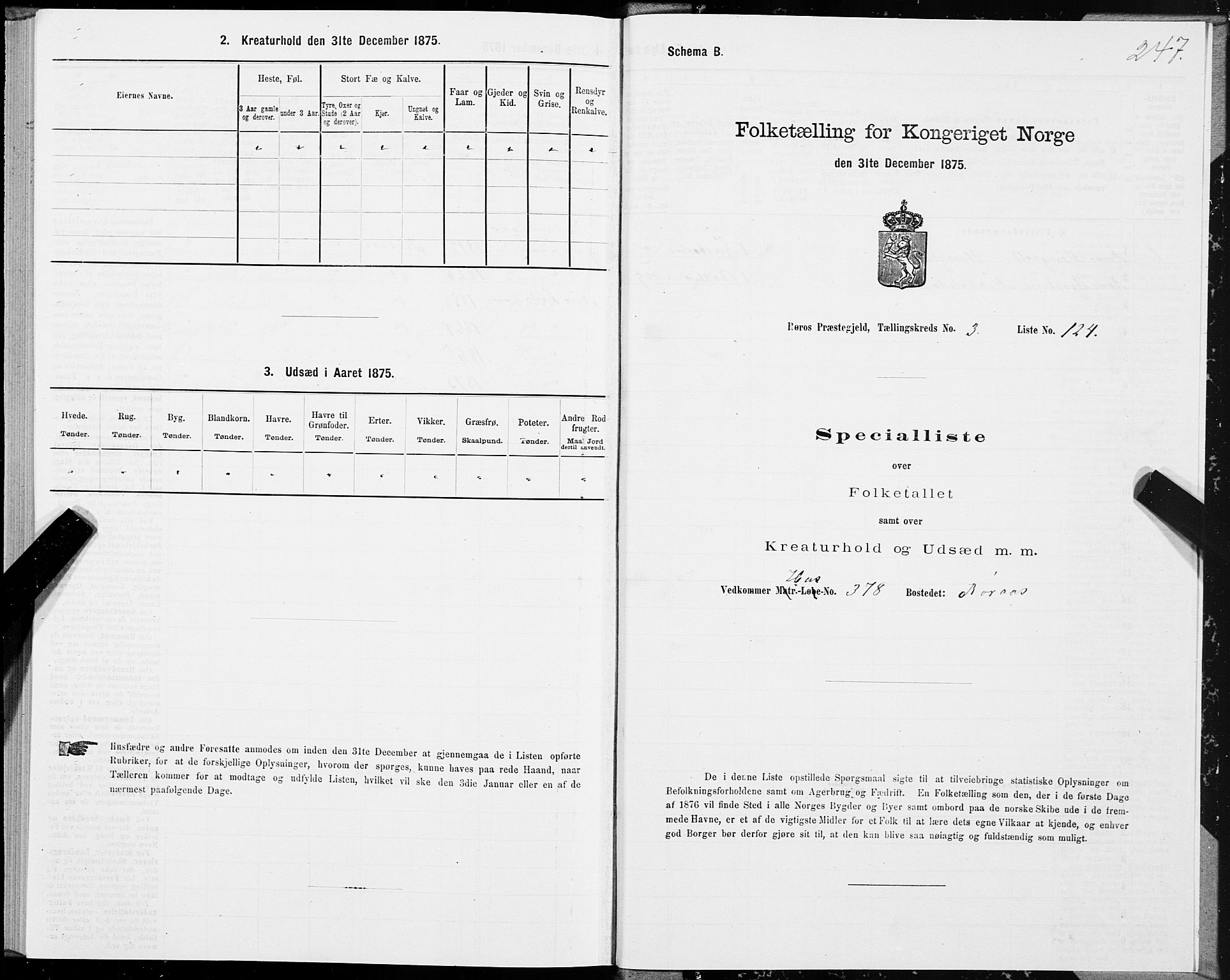 SAT, 1875 census for 1640P Røros, 1875, p. 2247