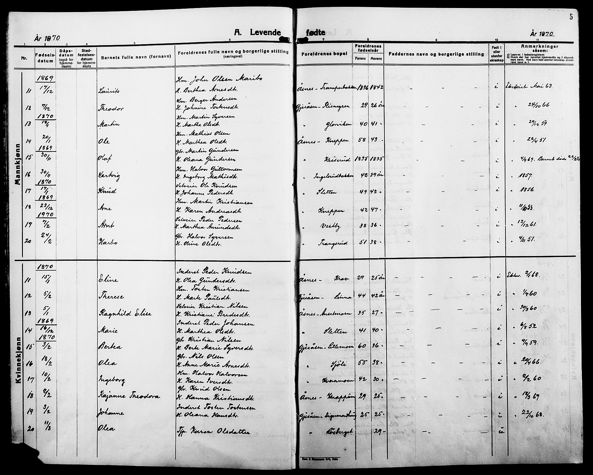 Åsnes prestekontor, AV/SAH-PREST-042/H/Ha/Haa/L0000B: Parish register (official), 1870-1889, p. 5