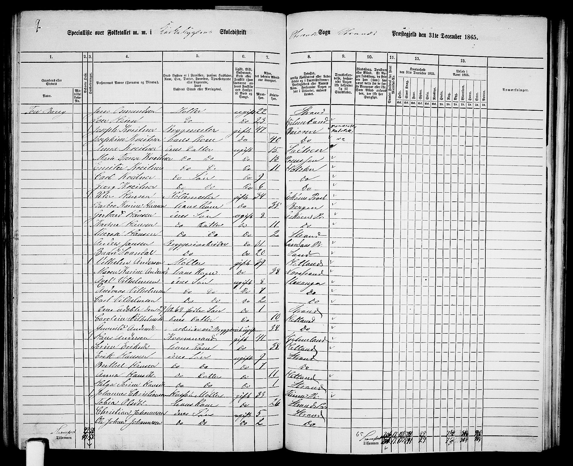 RA, 1865 census for Strand, 1865, p. 48