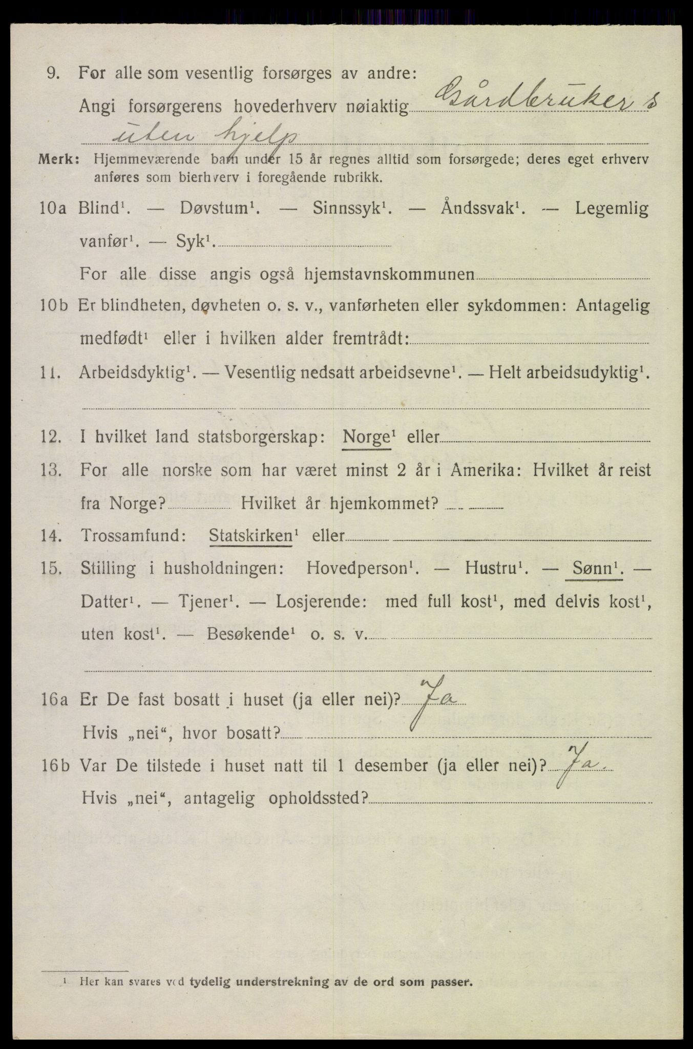 SAH, 1920 census for Åsnes, 1920, p. 2151