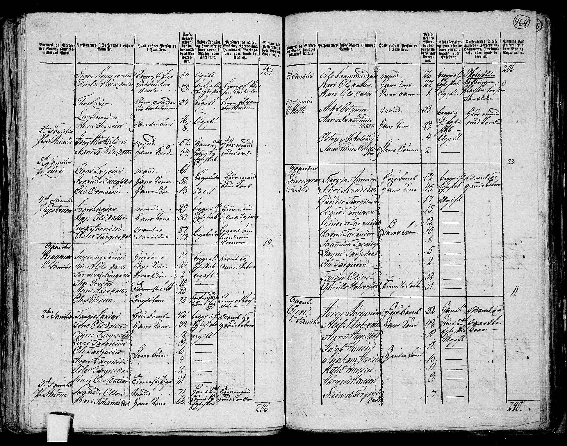 RA, 1801 census for 0829P Kviteseid, 1801, p. 463b-464a