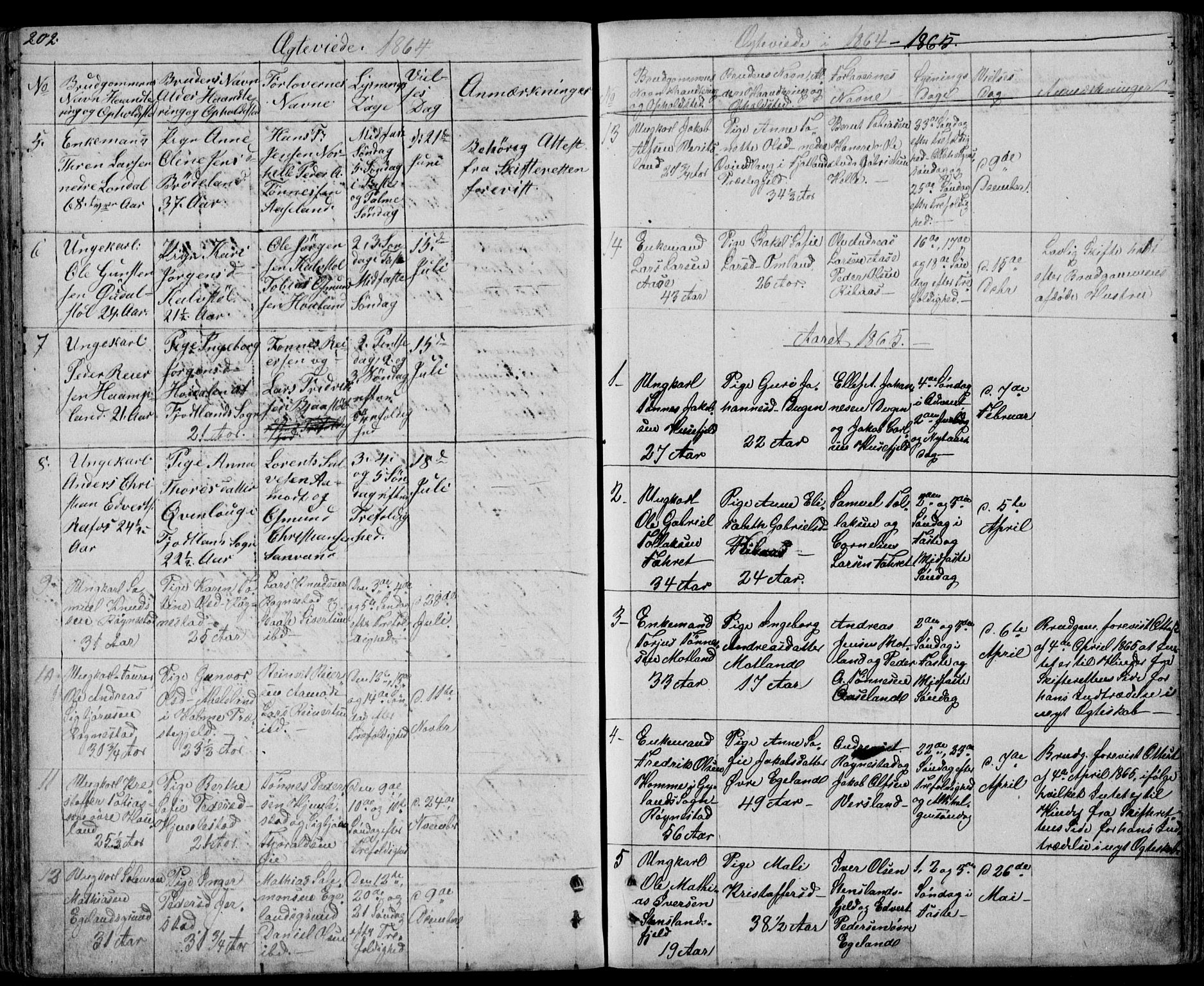 Kvinesdal sokneprestkontor, SAK/1111-0026/F/Fb/Fbb/L0001: Parish register (copy) no. B 1, 1852-1872, p. 202
