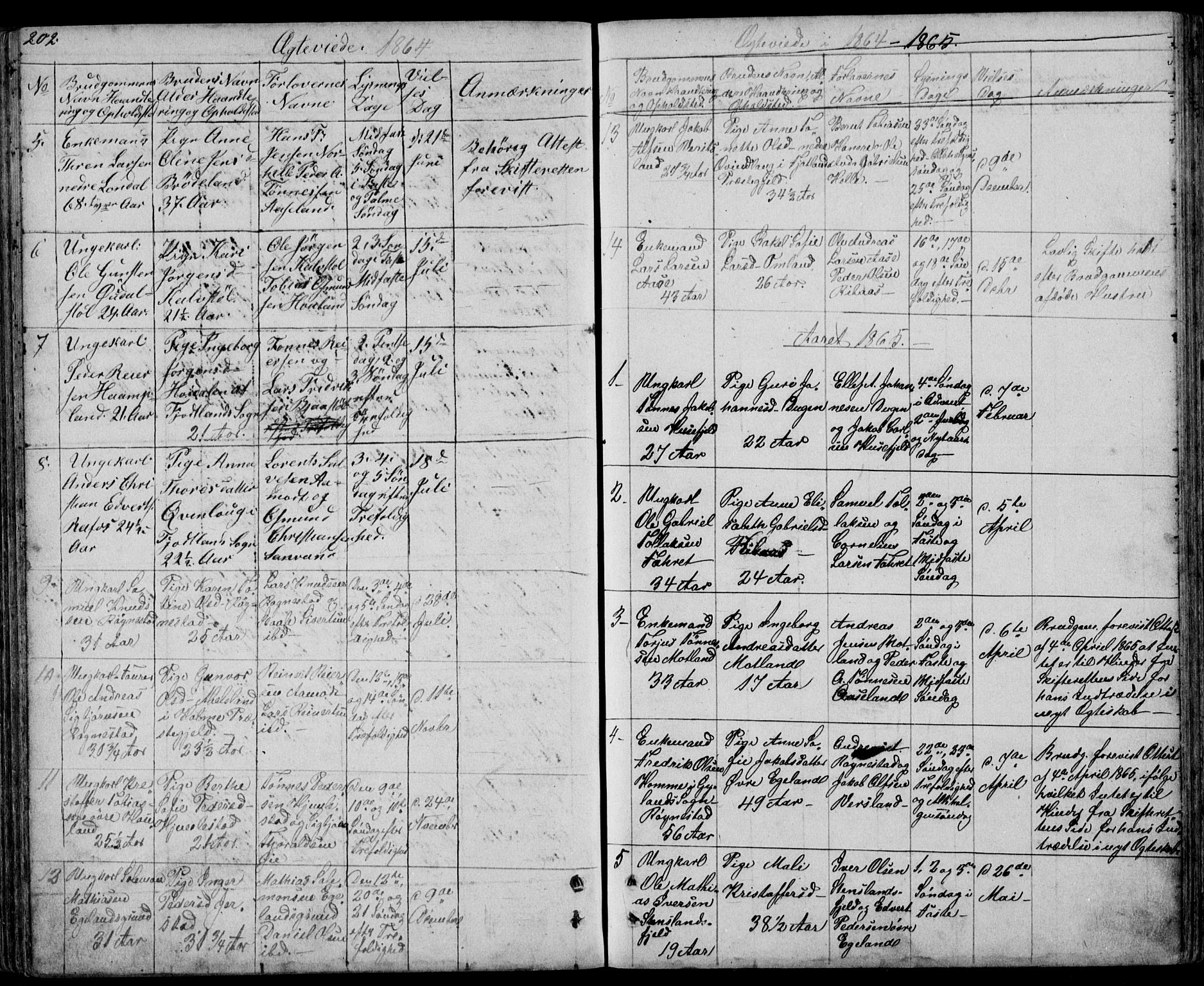 Kvinesdal sokneprestkontor, AV/SAK-1111-0026/F/Fb/Fbb/L0001: Parish register (copy) no. B 1, 1852-1872, p. 202