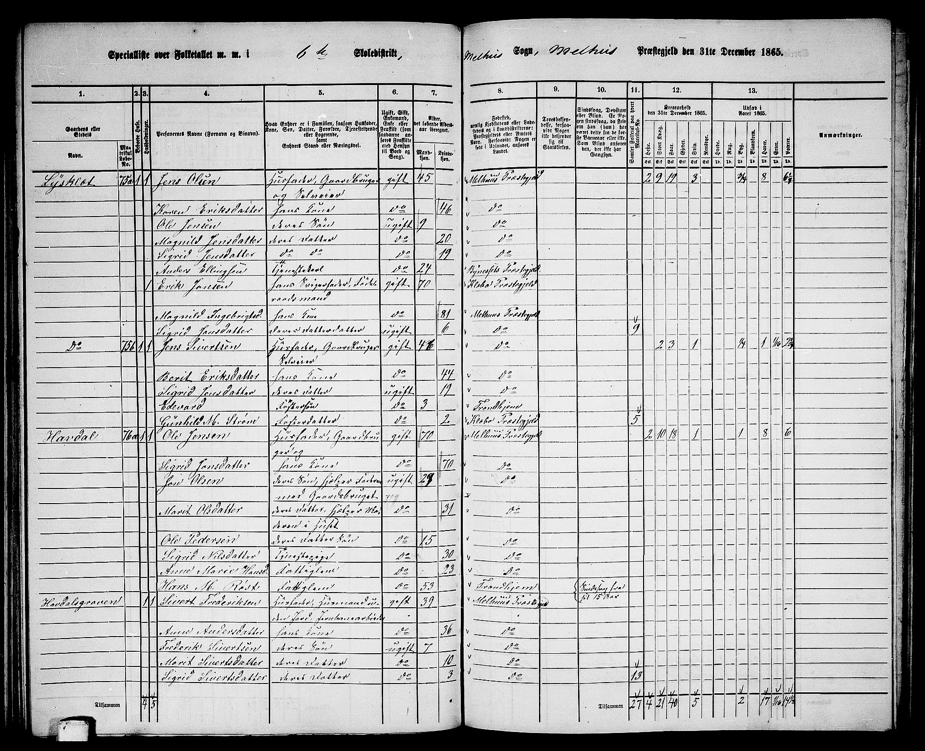 RA, 1865 census for Melhus, 1865, p. 125