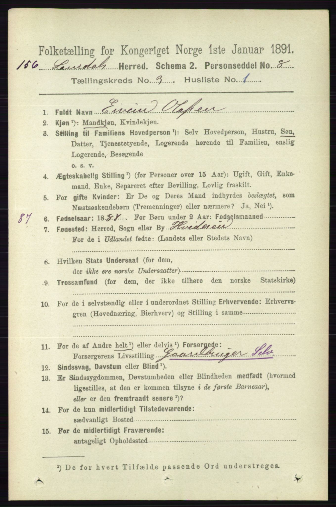 RA, 1891 census for 0833 Lårdal, 1891, p. 805