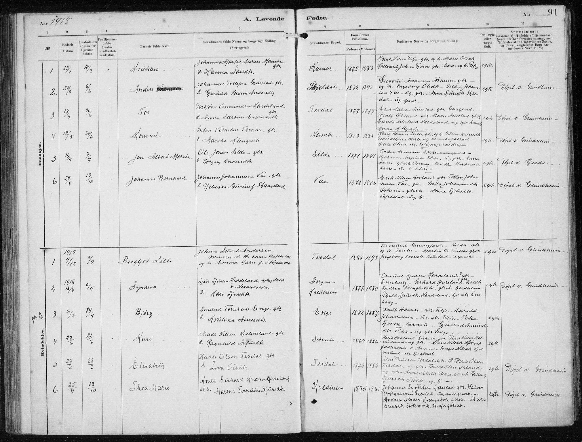 Etne sokneprestembete, SAB/A-75001/H/Haa: Parish register (official) no. B  1, 1879-1919, p. 91