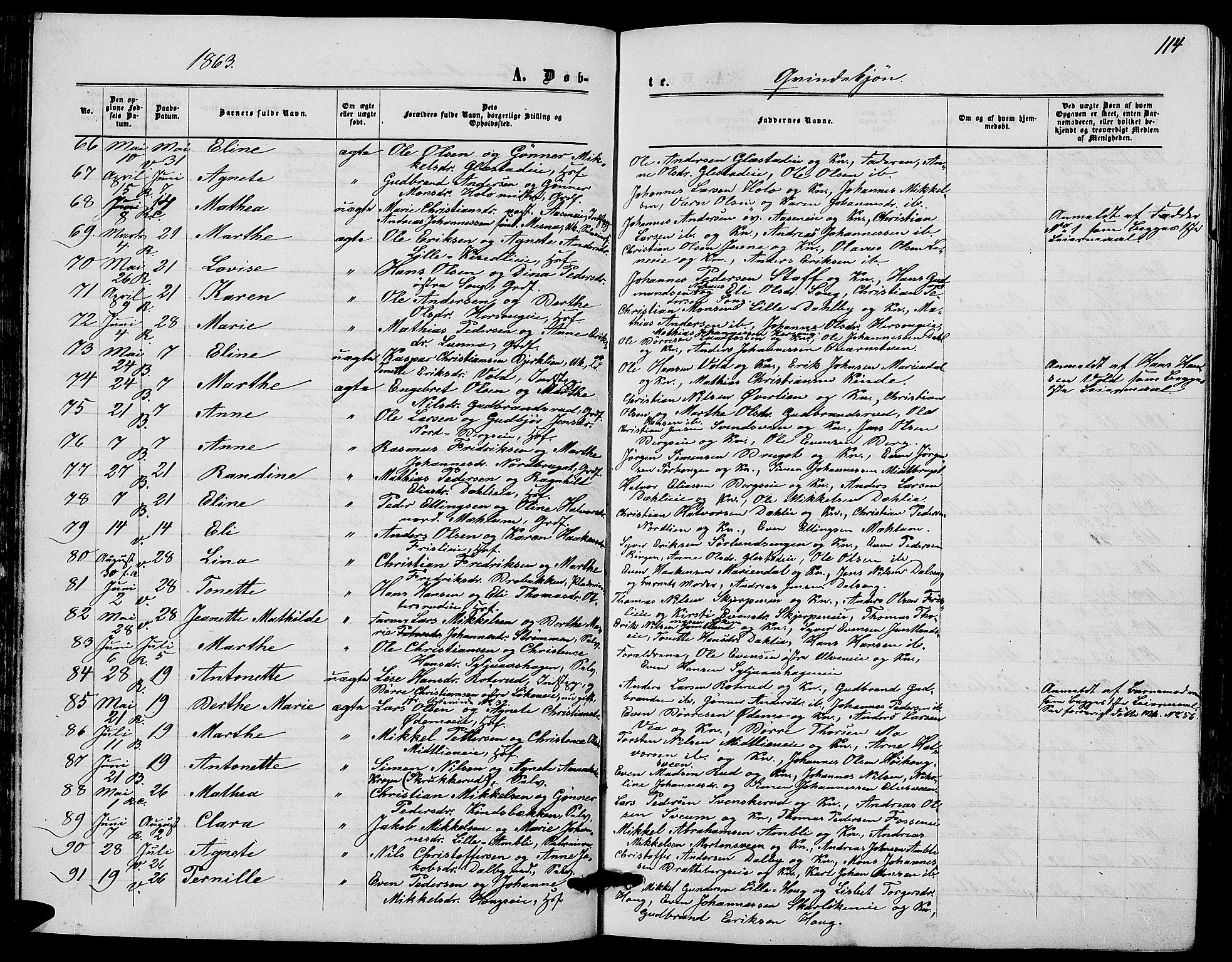 Ringsaker prestekontor, AV/SAH-PREST-014/L/La/L0007: Parish register (copy) no. 7, 1861-1869, p. 114