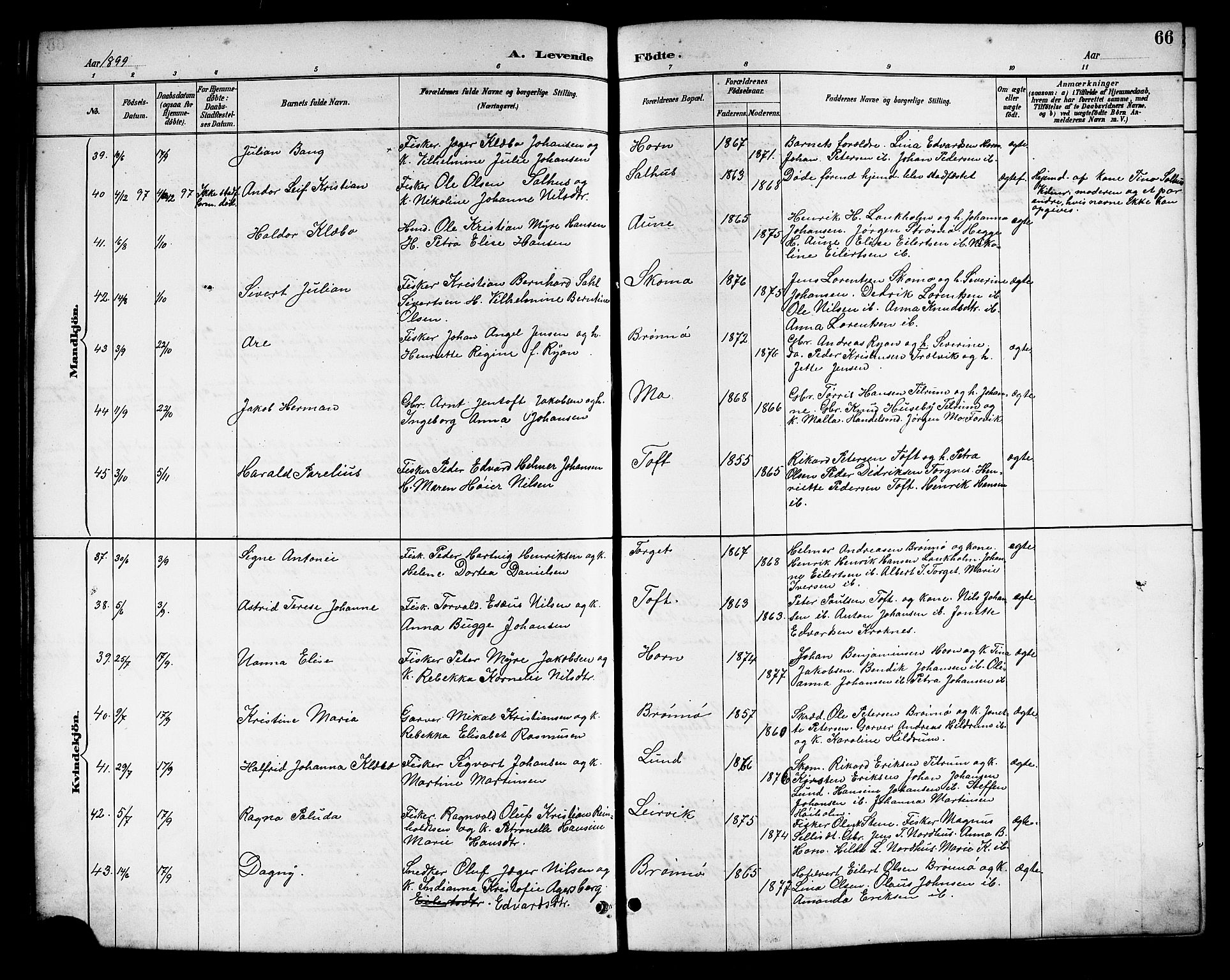 Ministerialprotokoller, klokkerbøker og fødselsregistre - Nordland, SAT/A-1459/813/L0213: Parish register (copy) no. 813C05, 1887-1903, p. 66