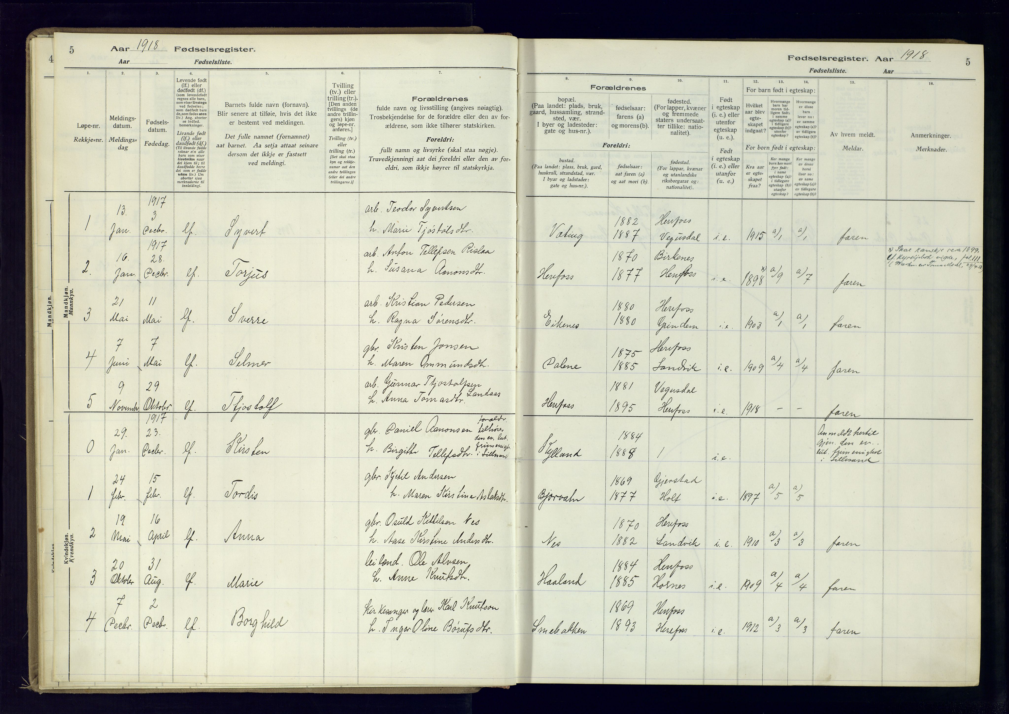 Herefoss sokneprestkontor, AV/SAK-1111-0019/J/Ja/L0001: Birth register no. II.6.10, 1916-1982, p. 5