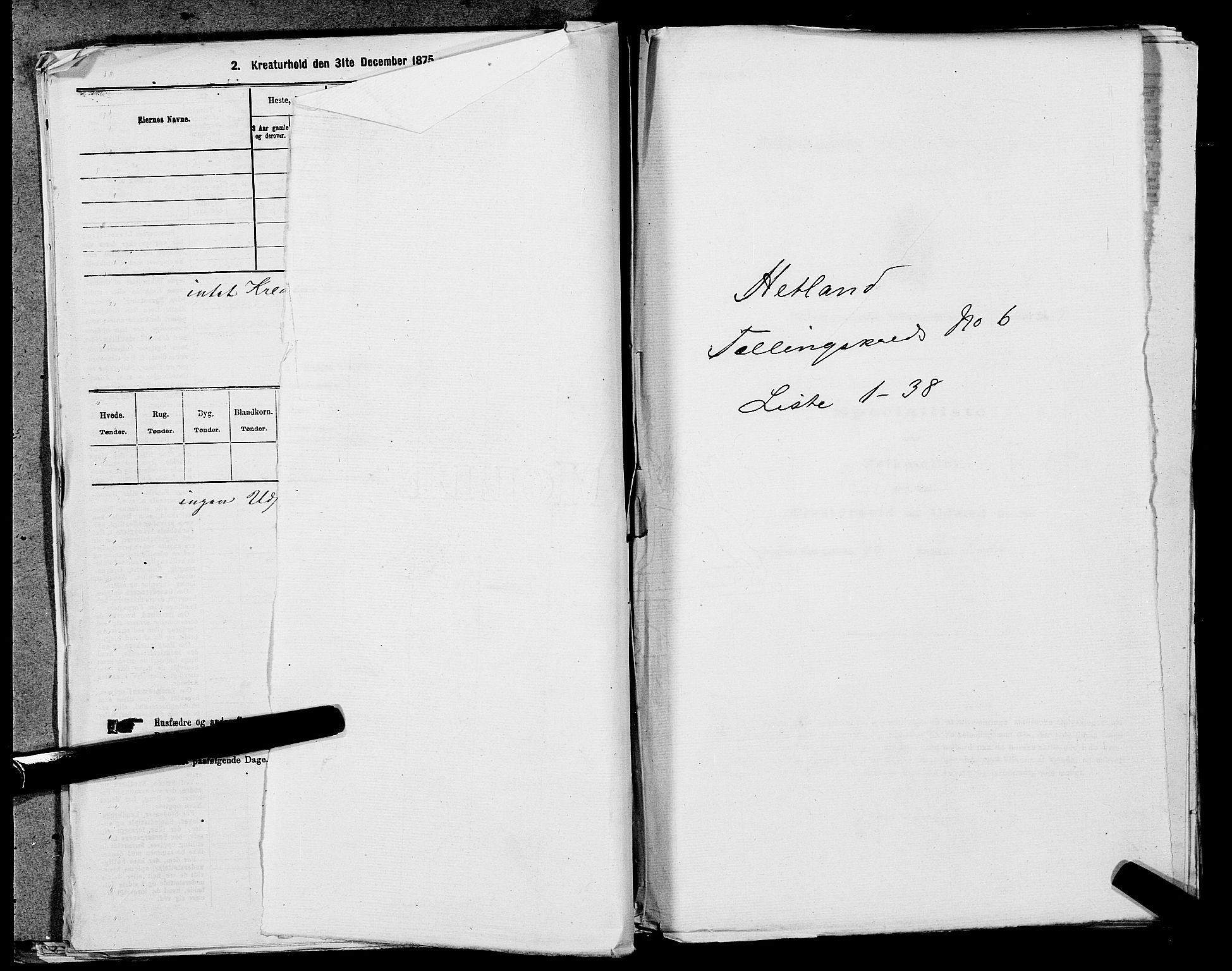 SAST, 1875 census for 1126P Hetland, 1875, p. 1350