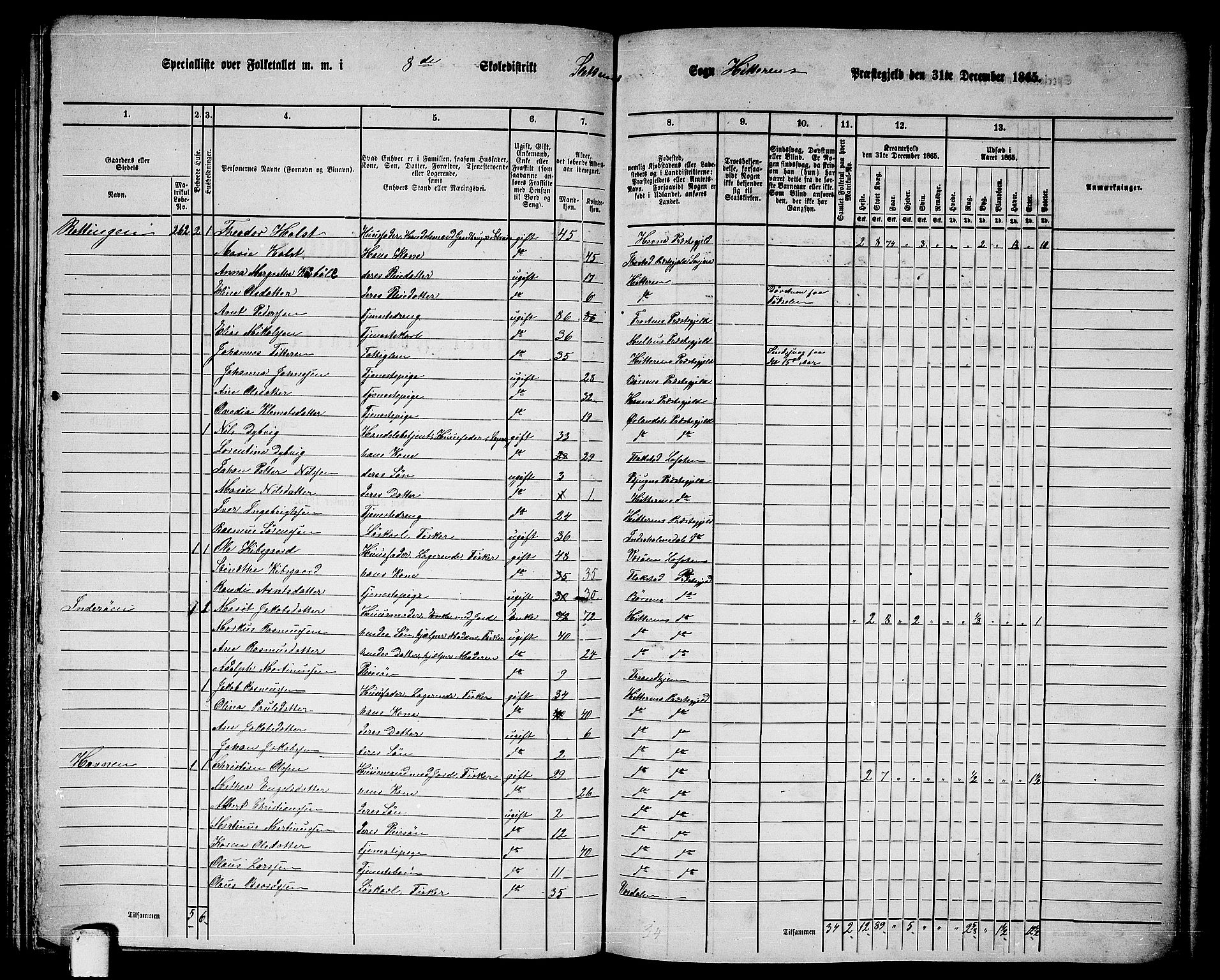 RA, 1865 census for Hitra, 1865, p. 195