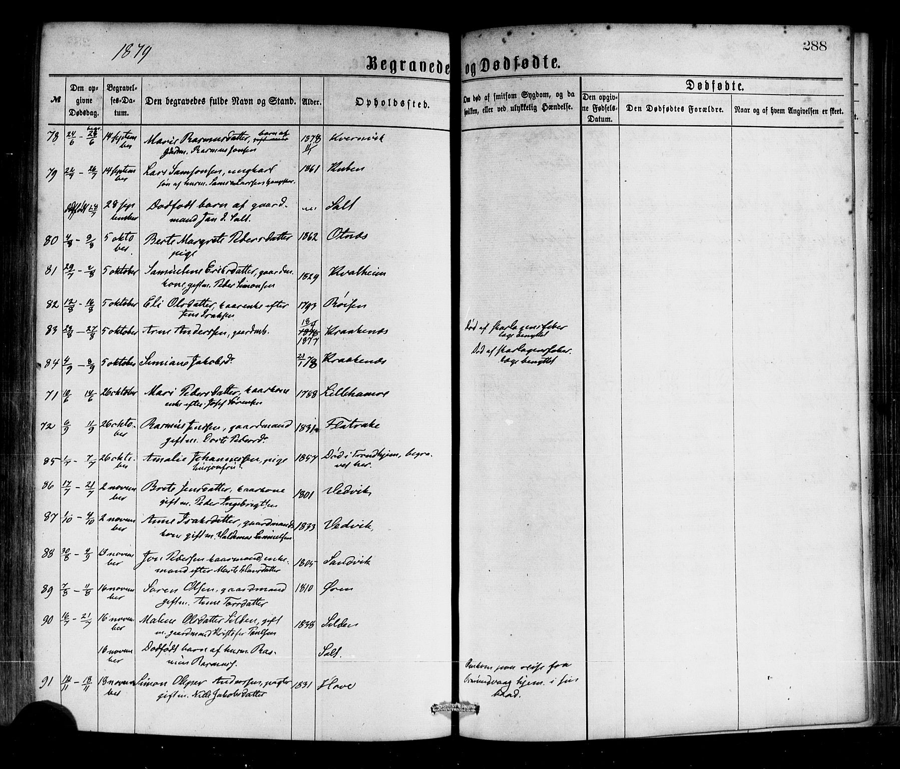 Selje sokneprestembete, SAB/A-99938/H/Ha/Haa/Haaa: Parish register (official) no. A 12, 1870-1880, p. 288