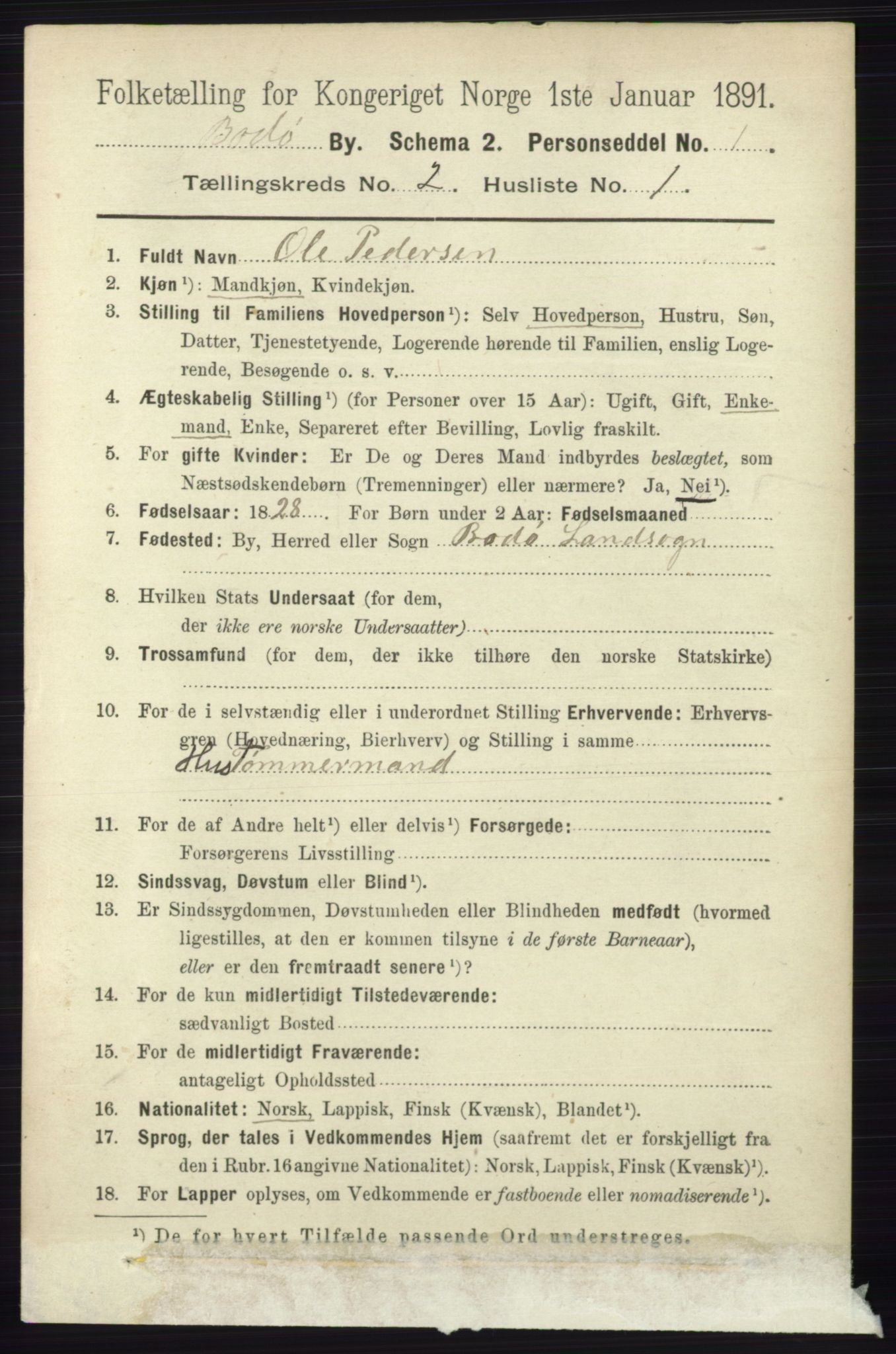 RA, 1891 census for 1804 Bodø, 1891, p. 989