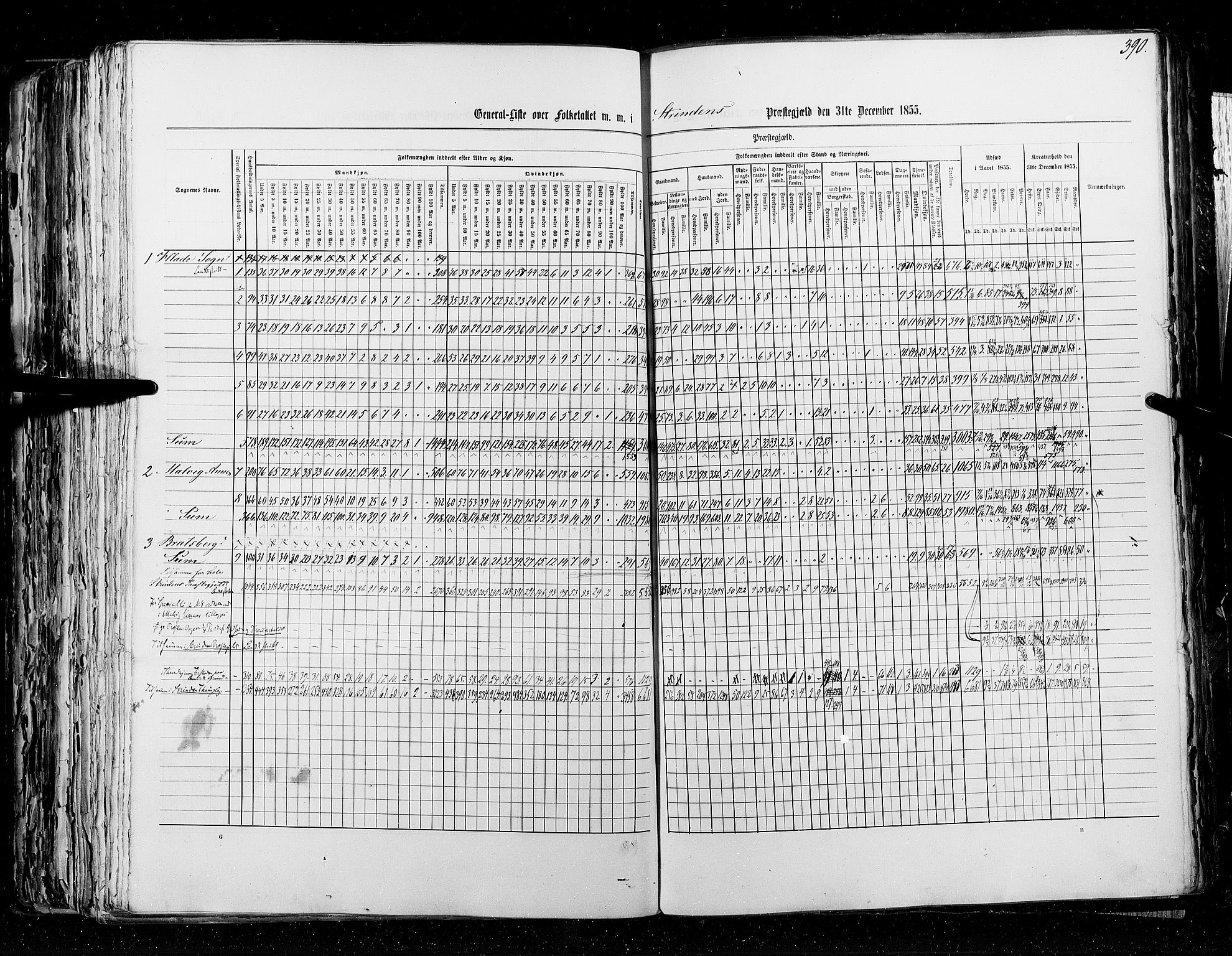 RA, Census 1855, vol. 5: Nordre Bergenhus amt, Romsdal amt og Søndre Trondhjem amt, 1855, p. 390