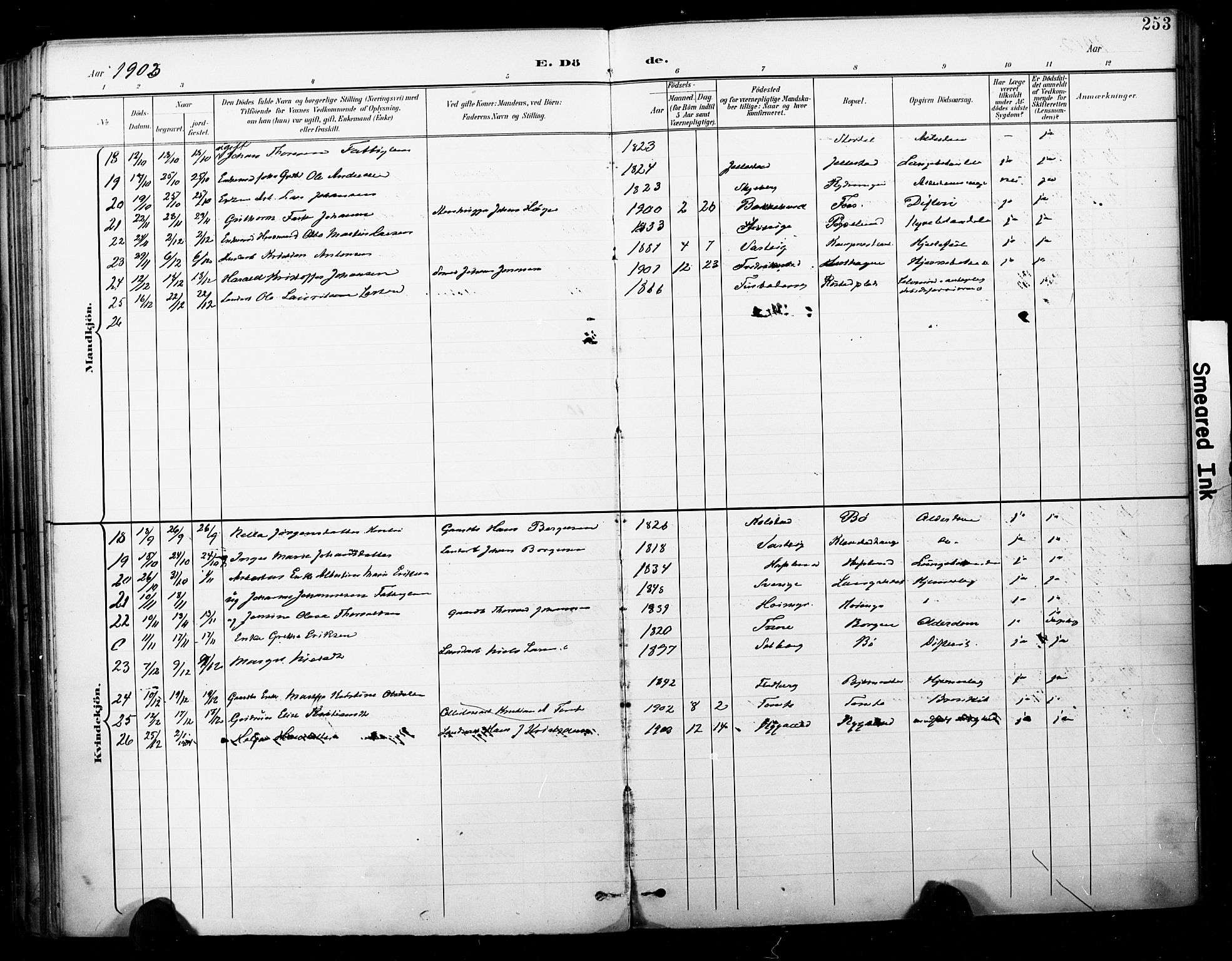 Skjeberg prestekontor Kirkebøker, SAO/A-10923/F/Fa/L0010: Parish register (official) no. I 10, 1898-1911, p. 253
