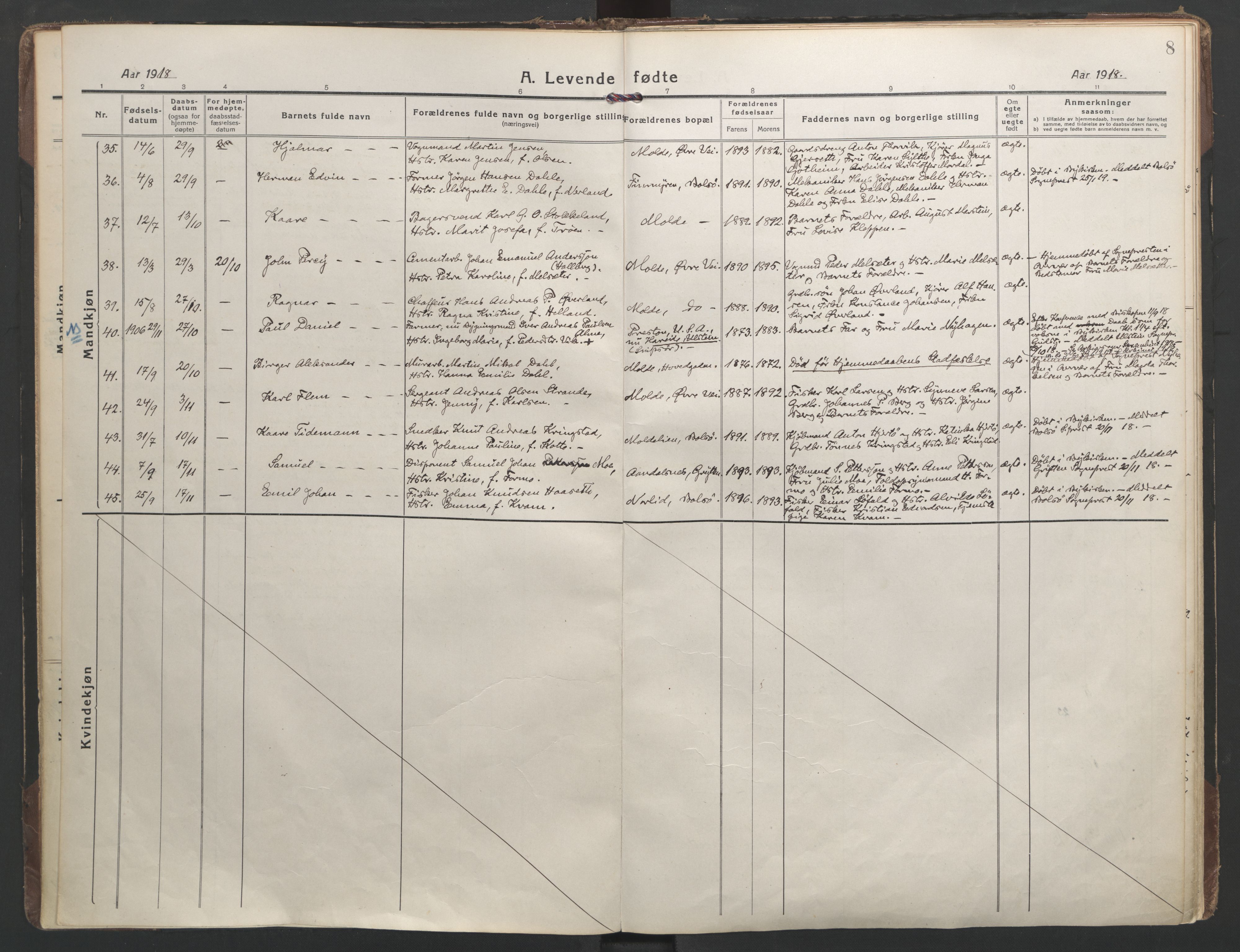 Ministerialprotokoller, klokkerbøker og fødselsregistre - Møre og Romsdal, AV/SAT-A-1454/558/L0696: Parish register (official) no. 558A10, 1917-1929, p. 8