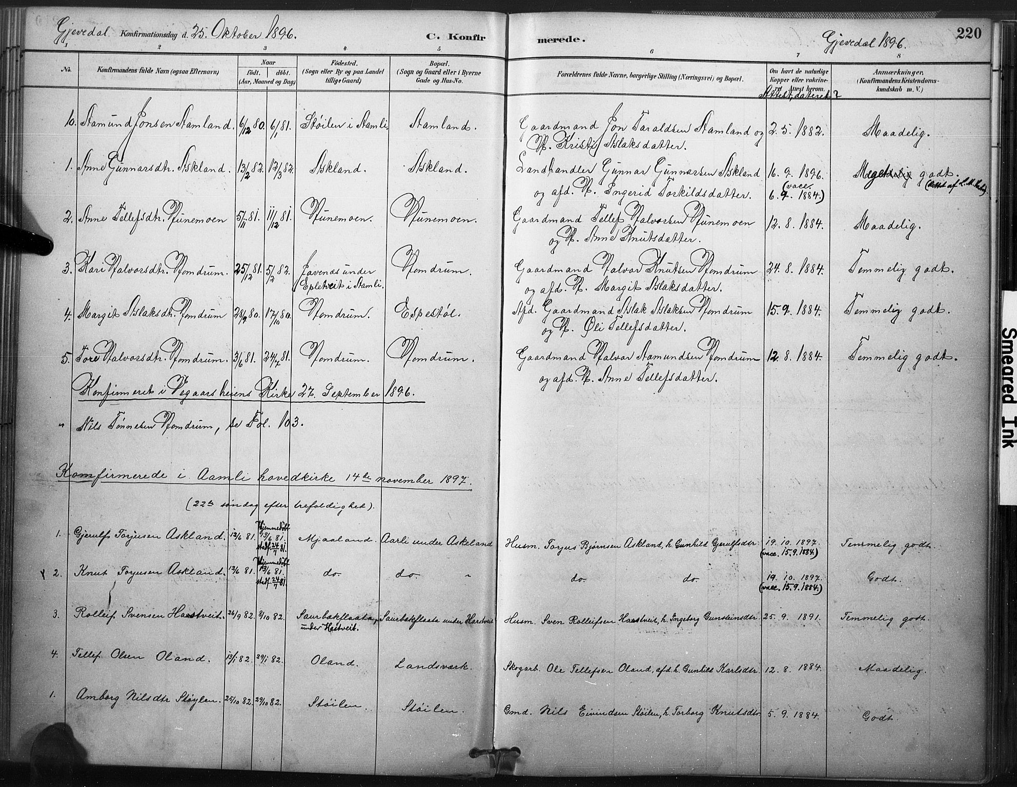 Åmli sokneprestkontor, SAK/1111-0050/F/Fa/Fac/L0010: Parish register (official) no. A 10 /2, 1885-1899, p. 220