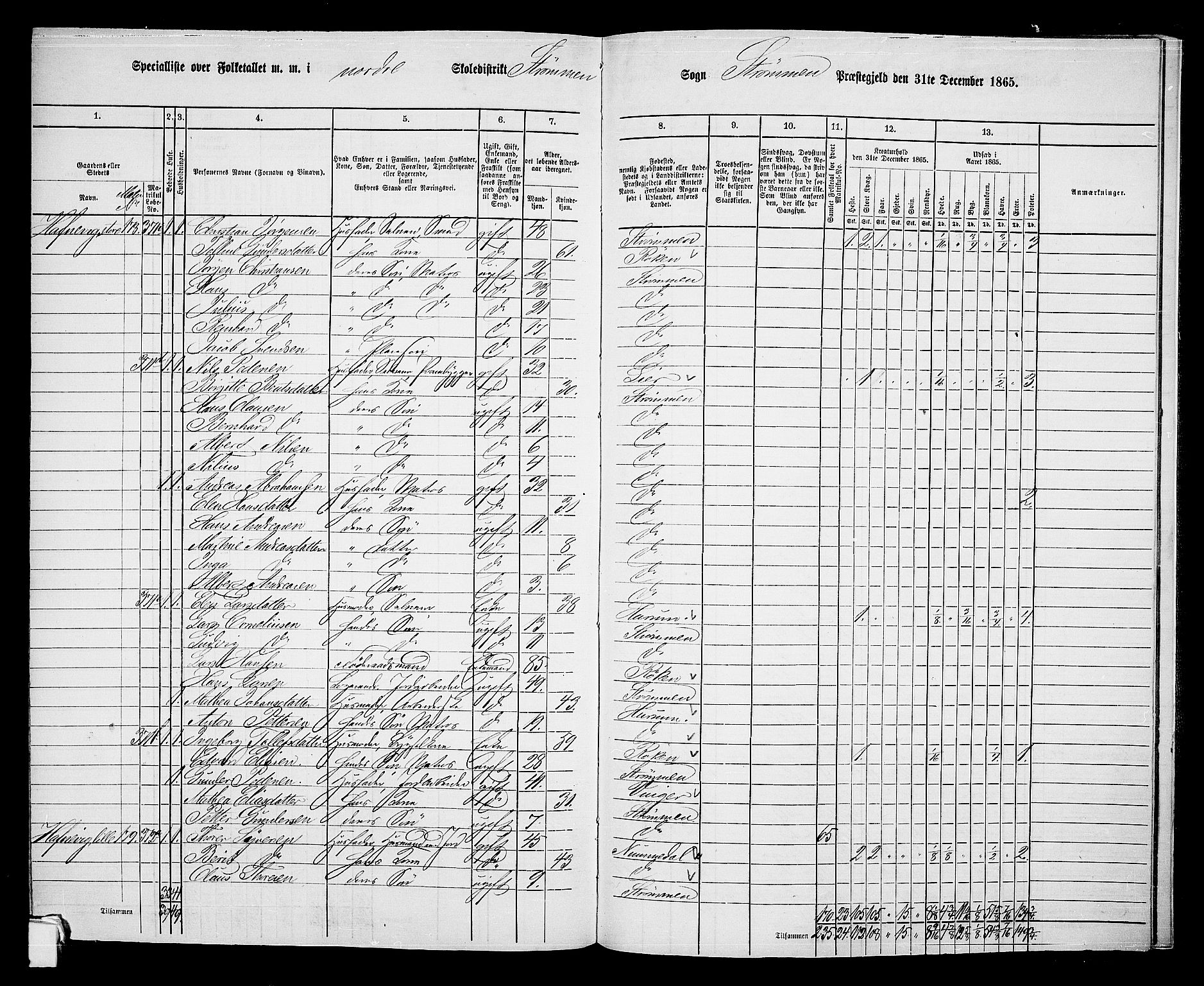 RA, 1865 census for Strømm, 1865, p. 43