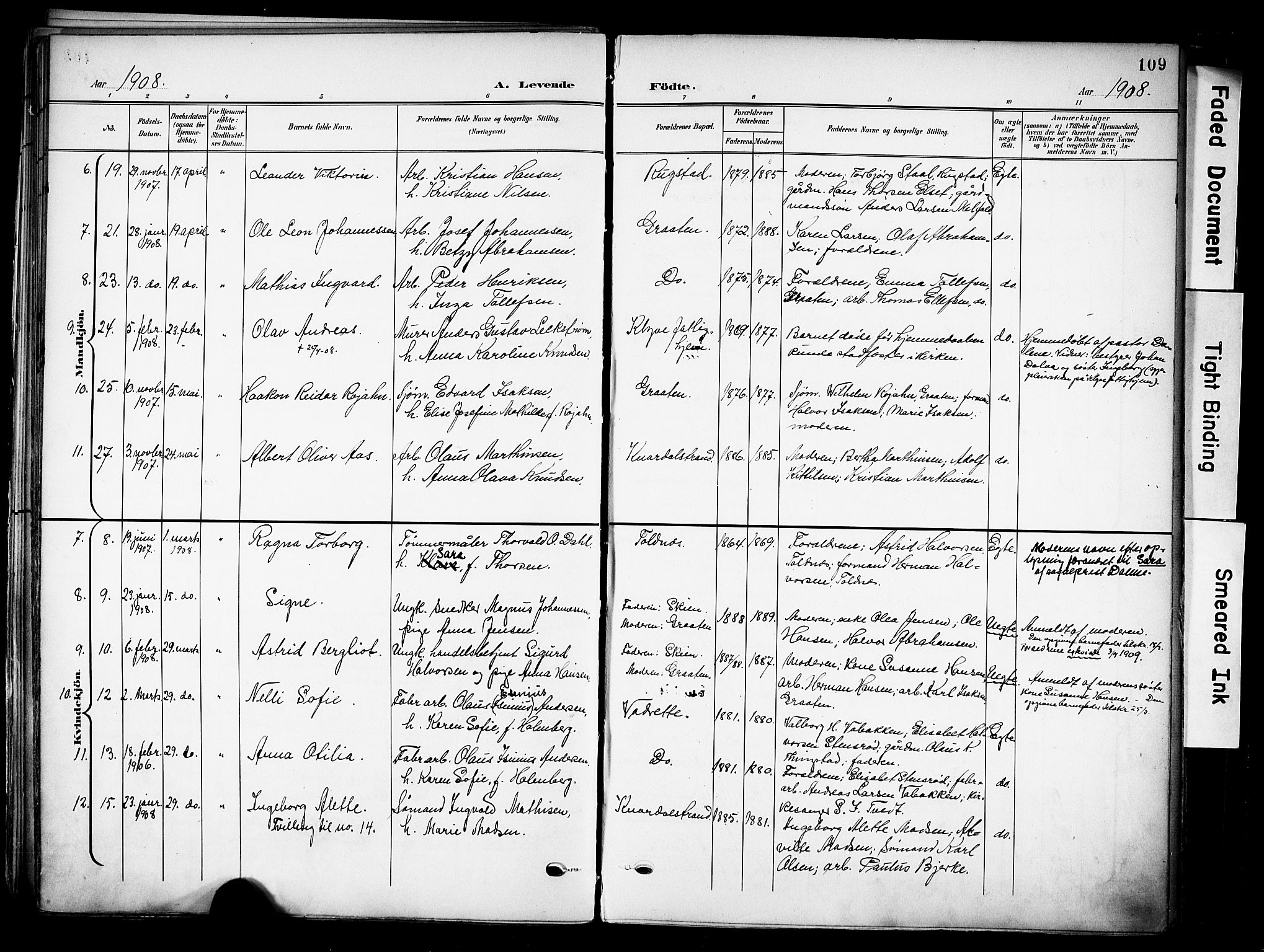 Solum kirkebøker, AV/SAKO-A-306/F/Fa/L0011: Parish register (official) no. I 11, 1898-1909, p. 109