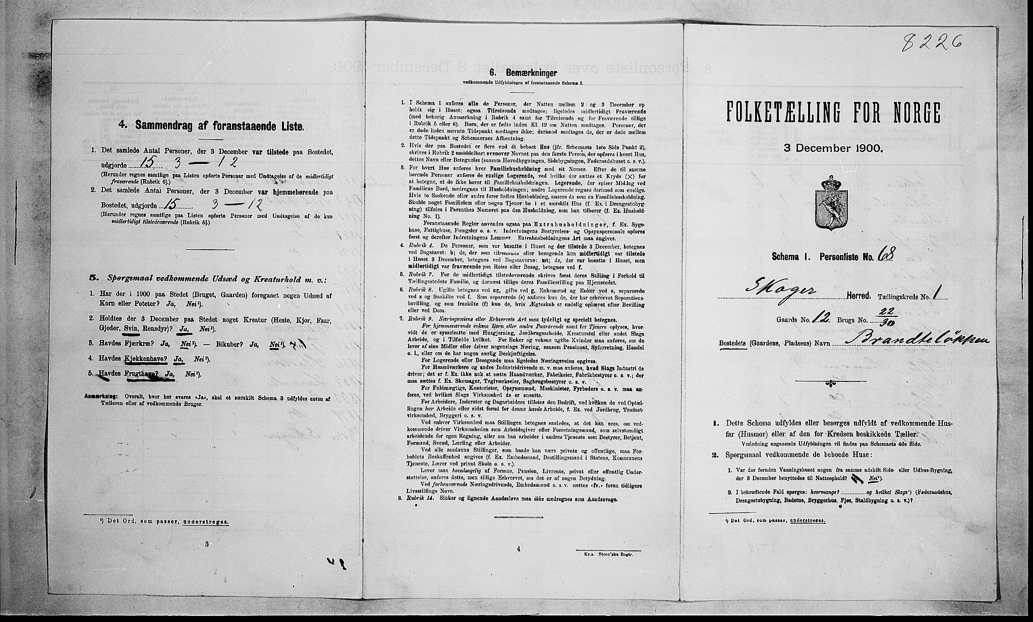 RA, 1900 census for Skoger, 1900, p. 207