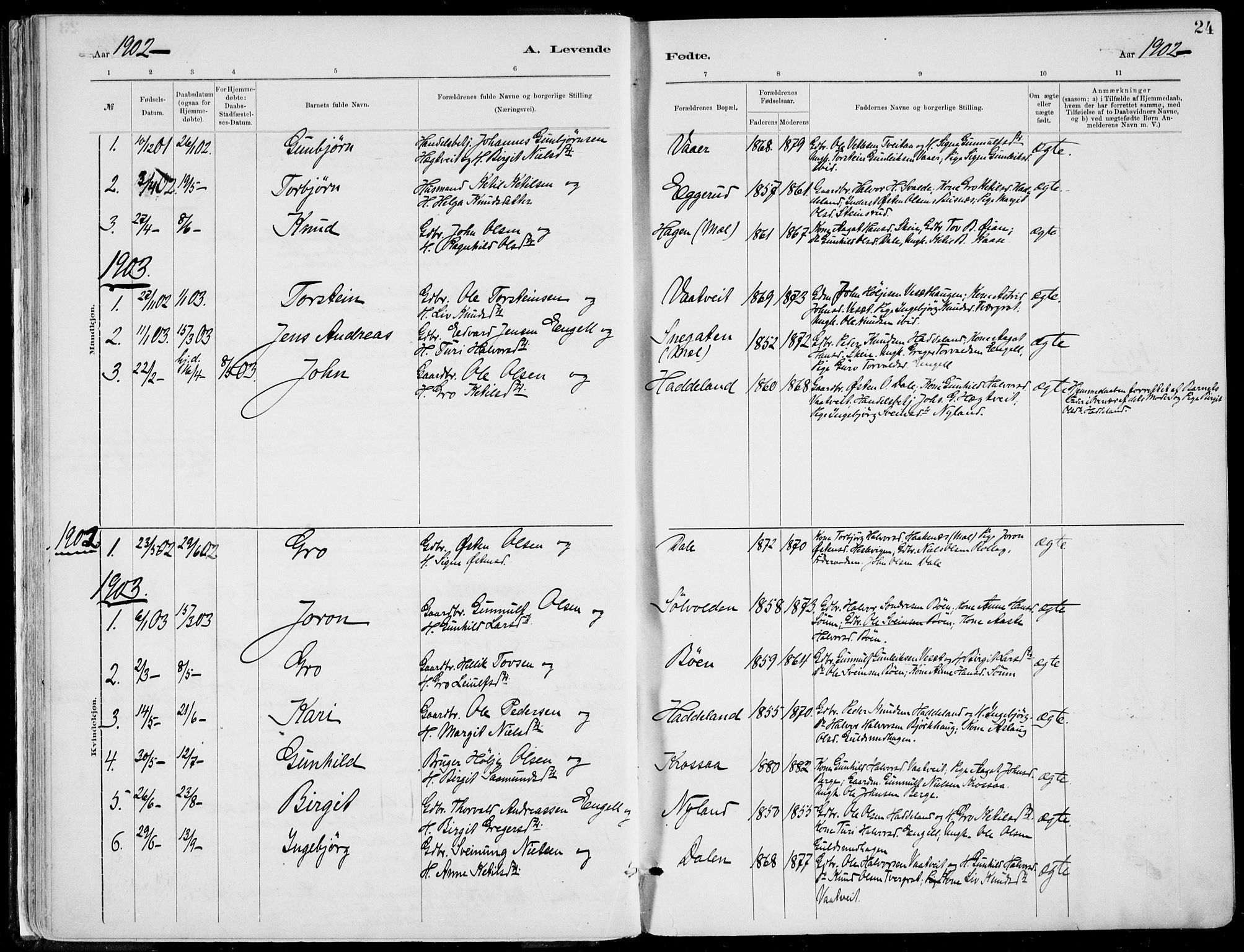Rjukan kirkebøker, SAKO/A-294/F/Fa/L0001: Parish register (official) no. 1, 1878-1912, p. 24