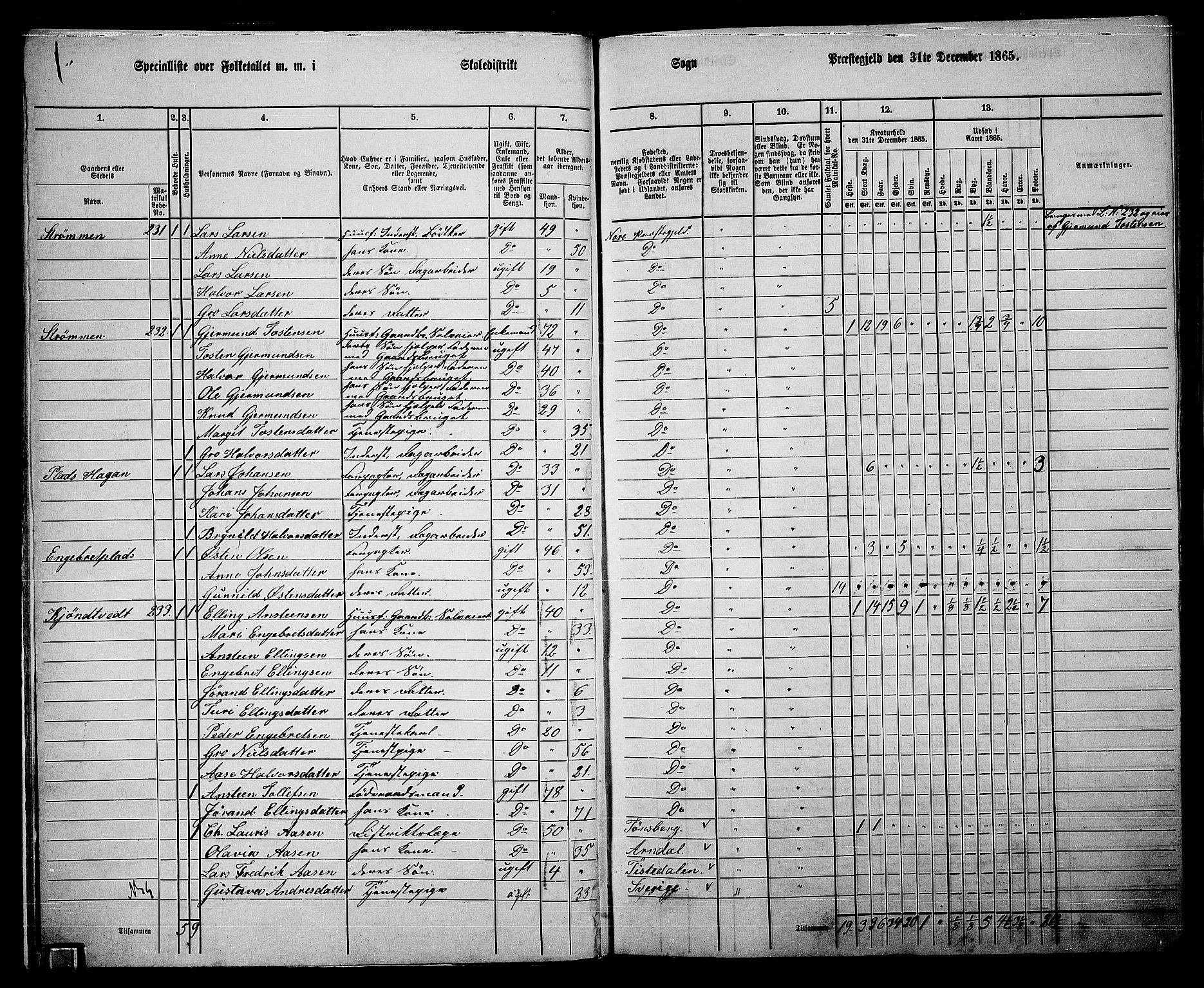 RA, 1865 census for Nore, 1865, p. 13