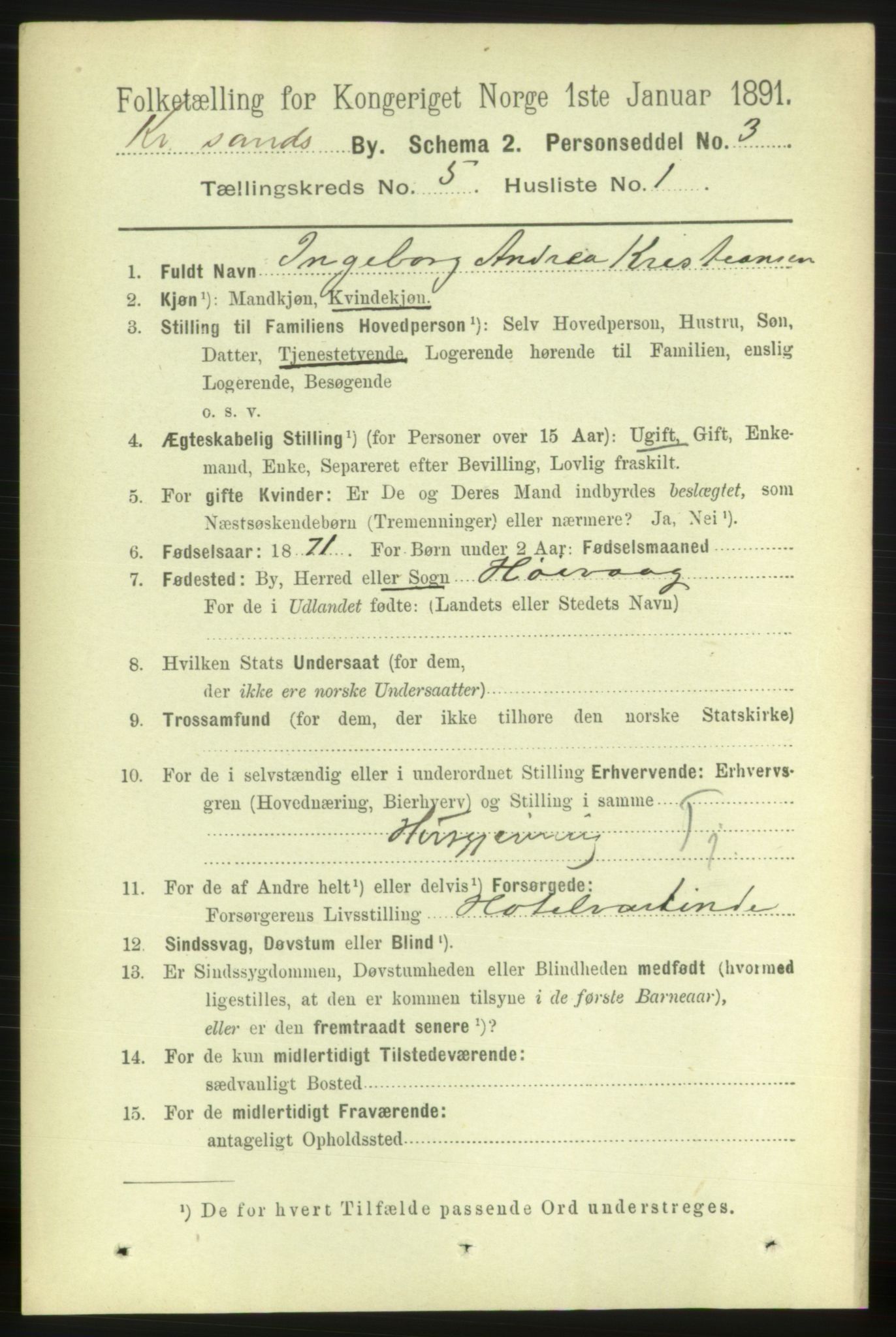 RA, 1891 census for 1001 Kristiansand, 1891, p. 3992