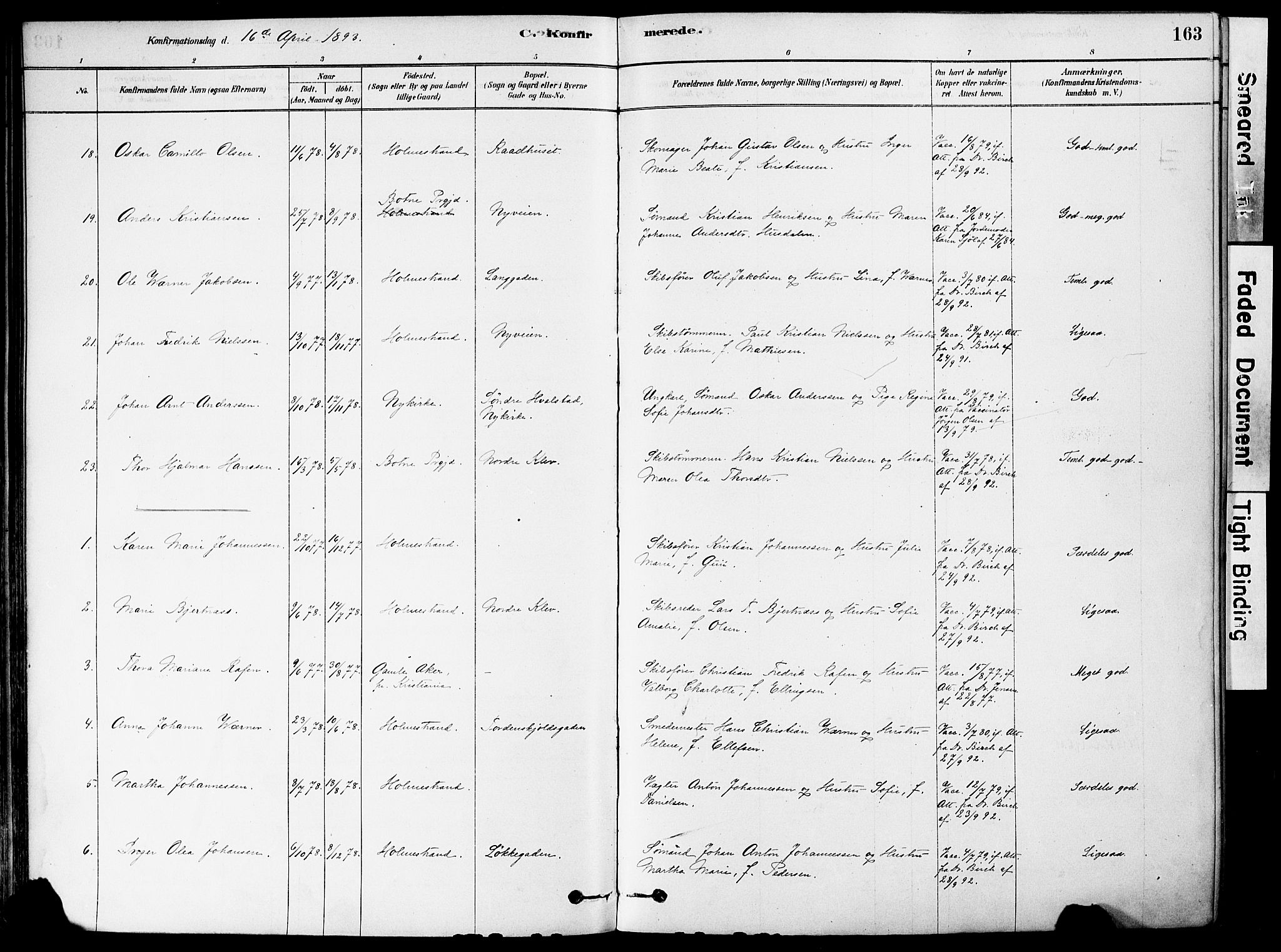 Holmestrand kirkebøker, AV/SAKO-A-346/F/Fa/L0004: Parish register (official) no. 4, 1880-1901, p. 163