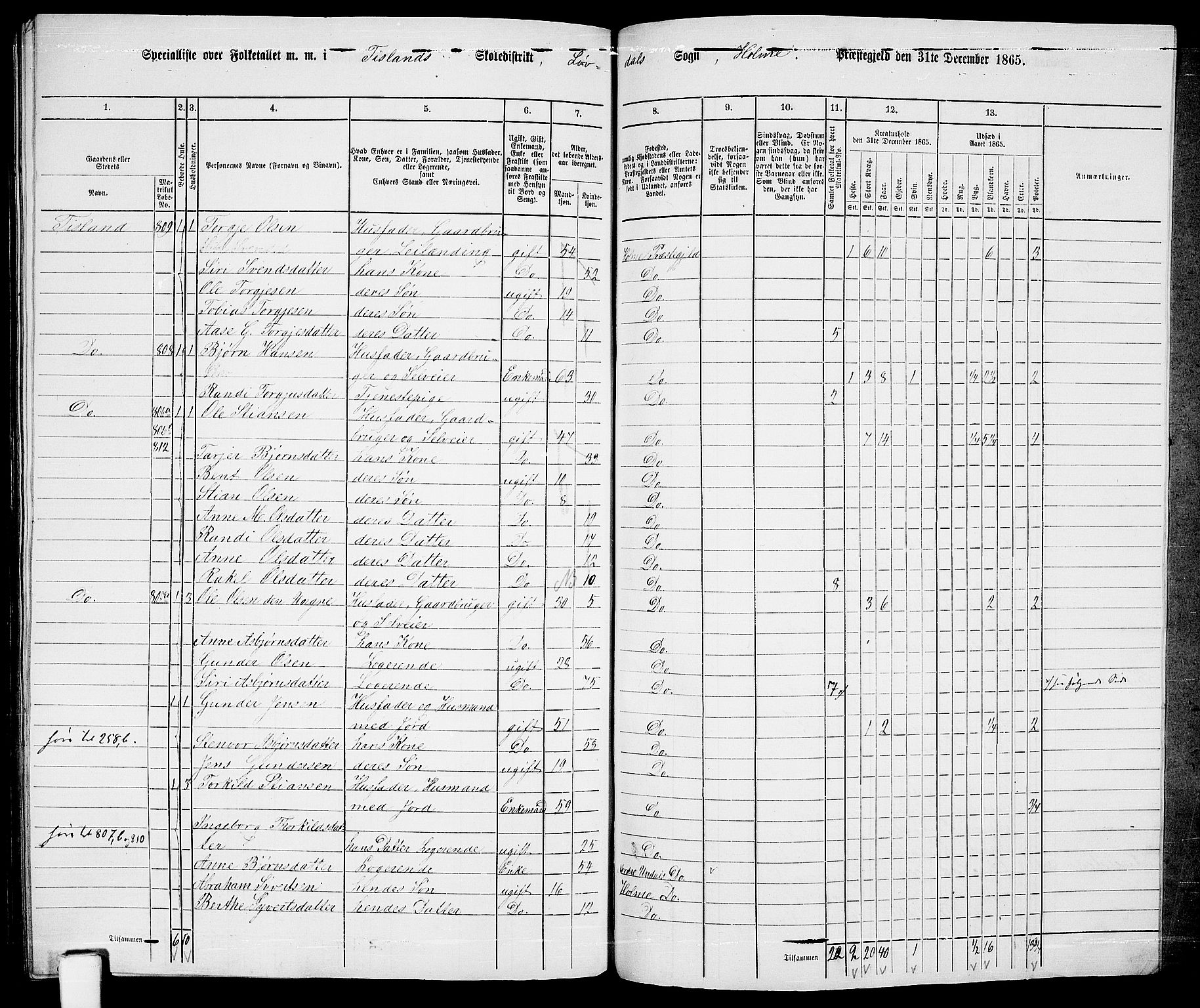 RA, 1865 census for Holum, 1865, p. 165