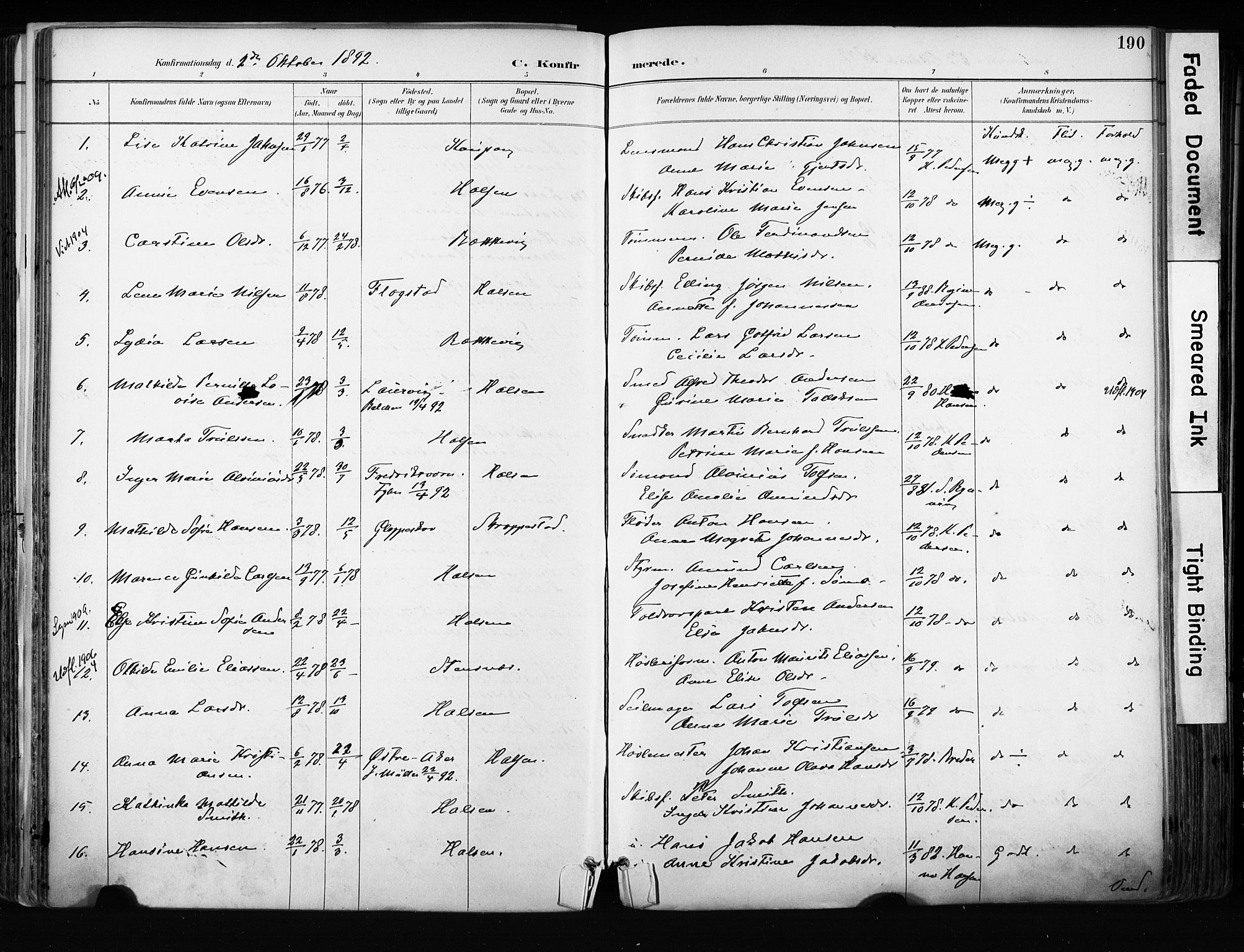 Tjølling kirkebøker, AV/SAKO-A-60/F/Fa/L0009: Parish register (official) no. 9, 1887-1905, p. 190